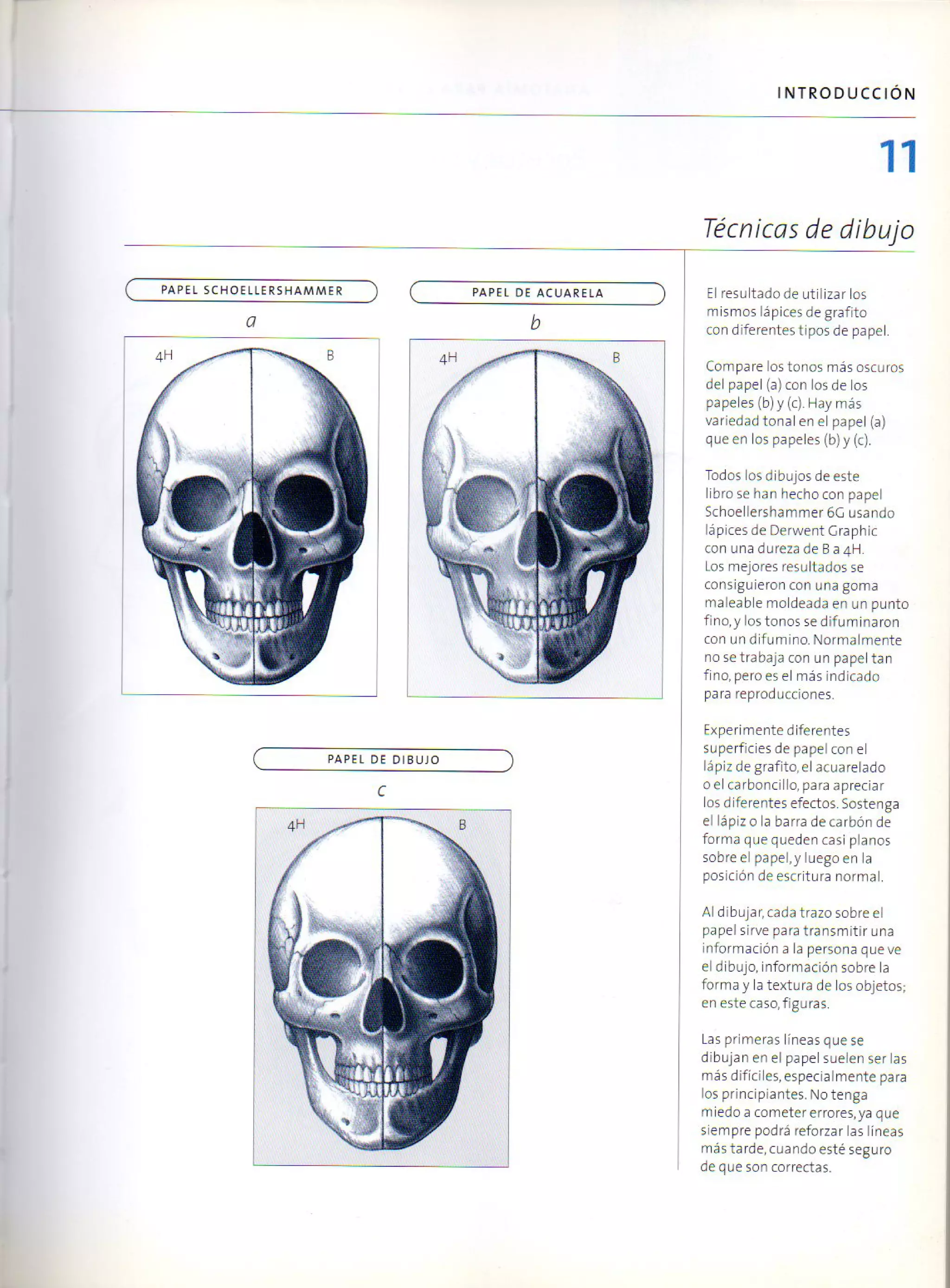 (Daniel carter) anatomia para el artista