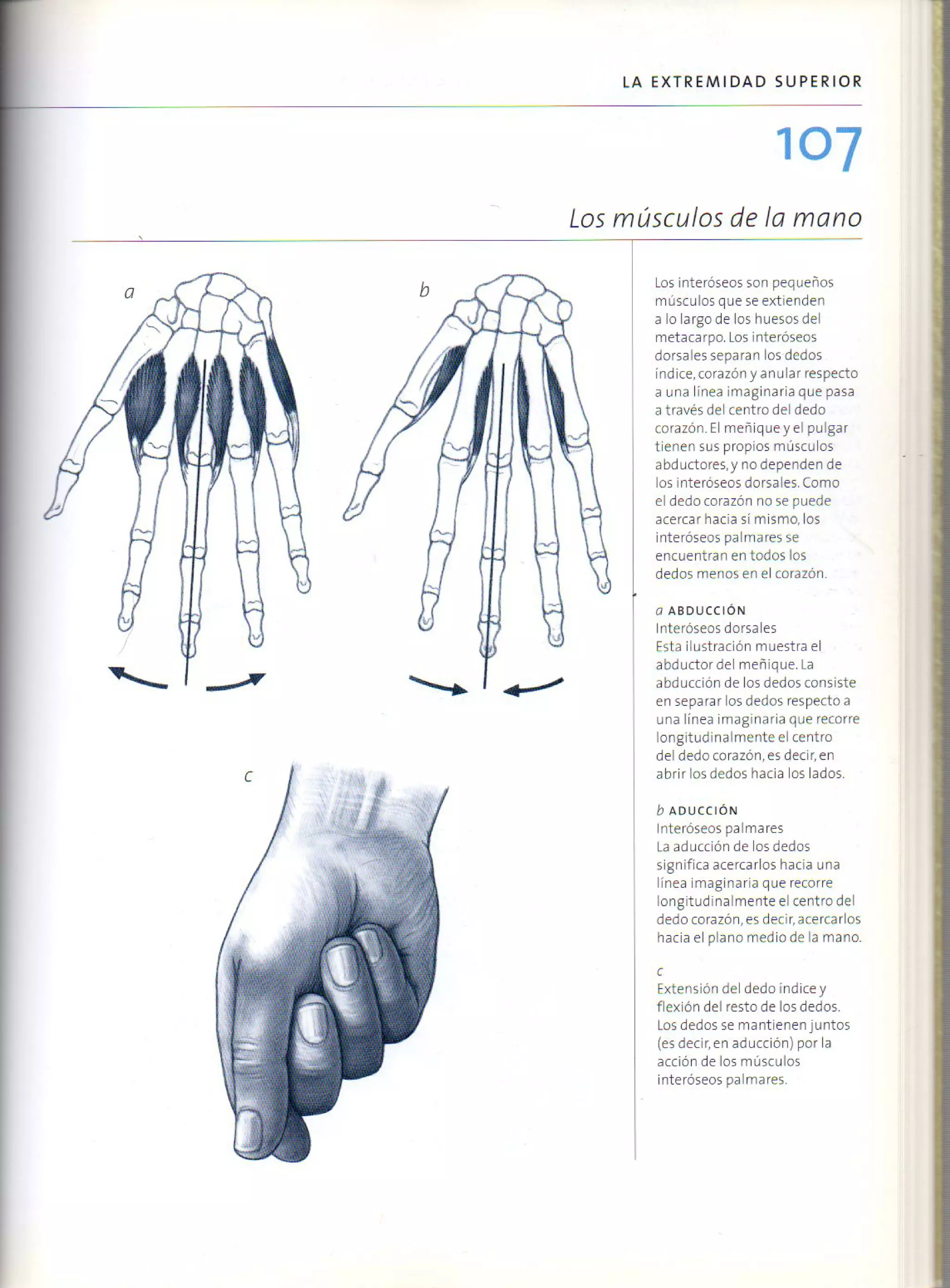 (Daniel carter) anatomia para el artista