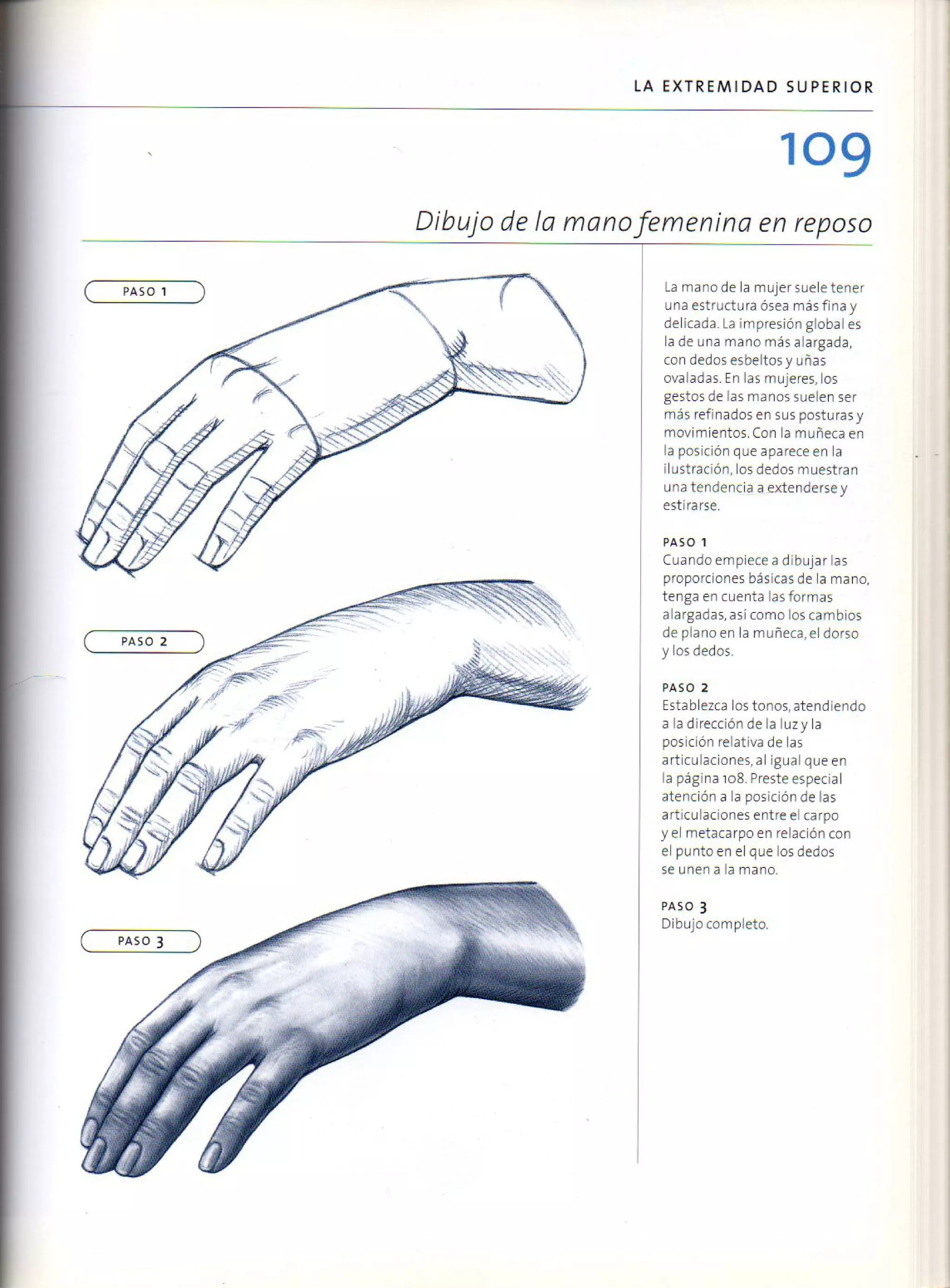 (Daniel carter) anatomia para el artista