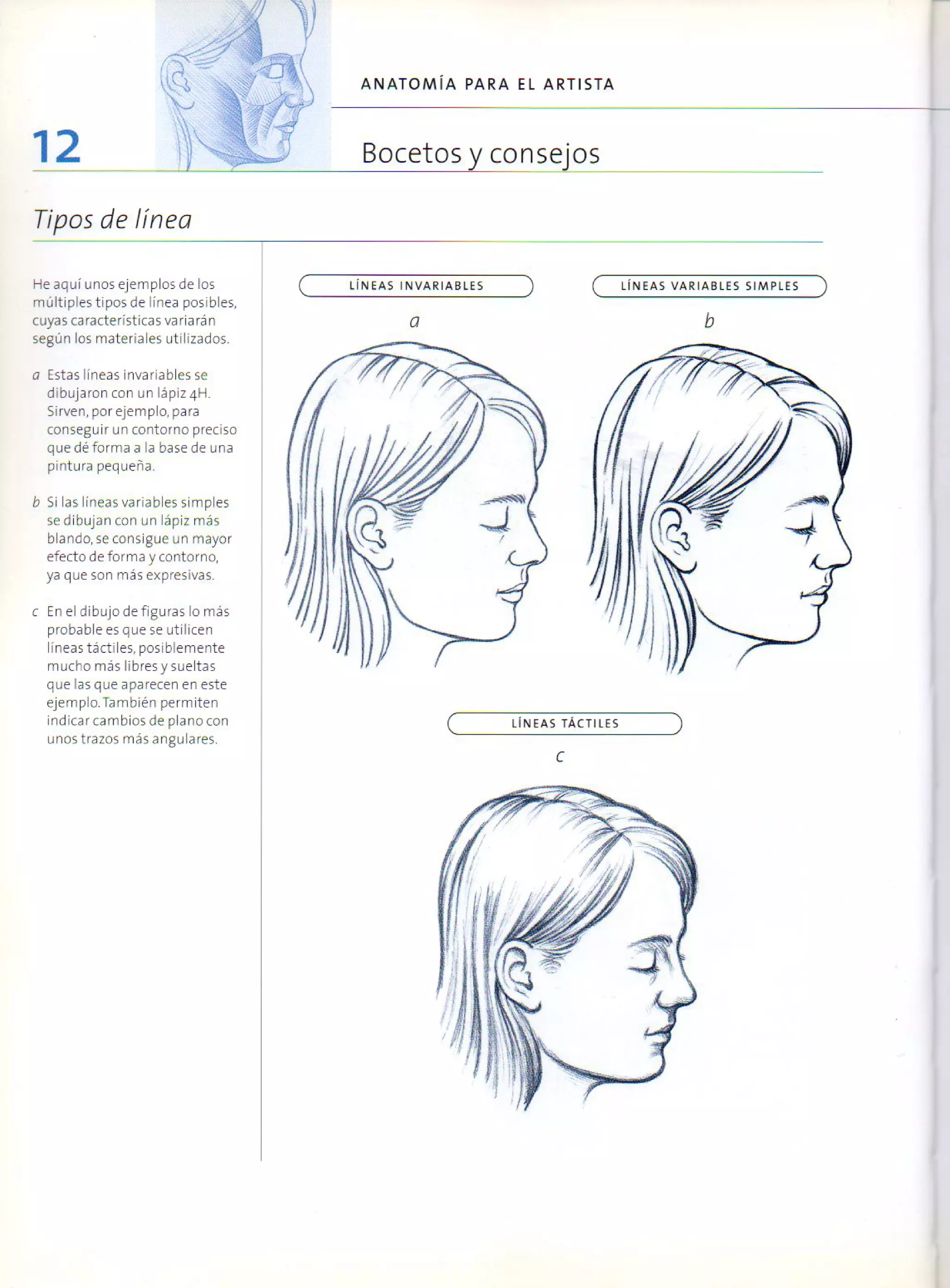 (Daniel carter) anatomia para el artista