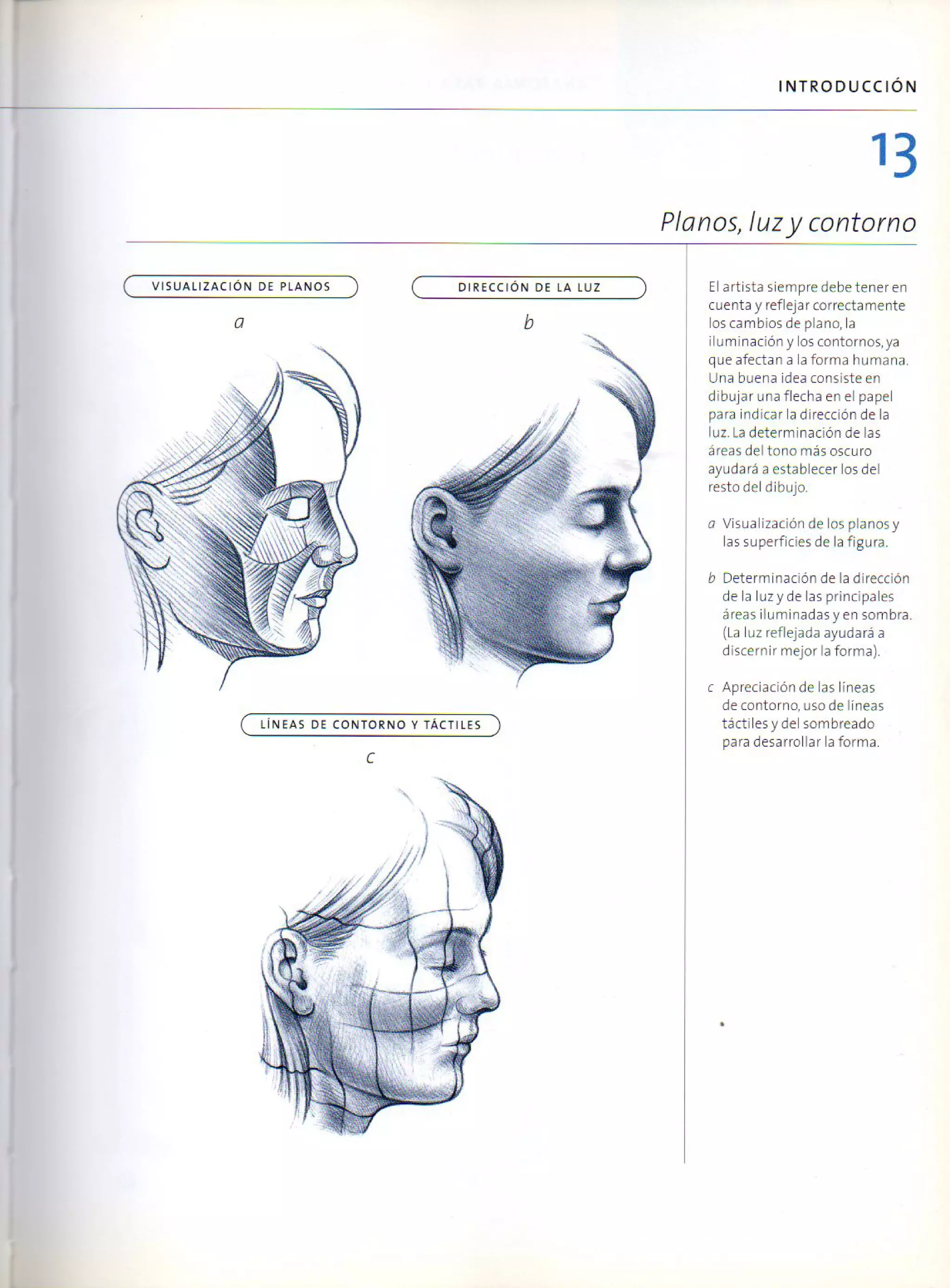 (Daniel carter) anatomia para el artista