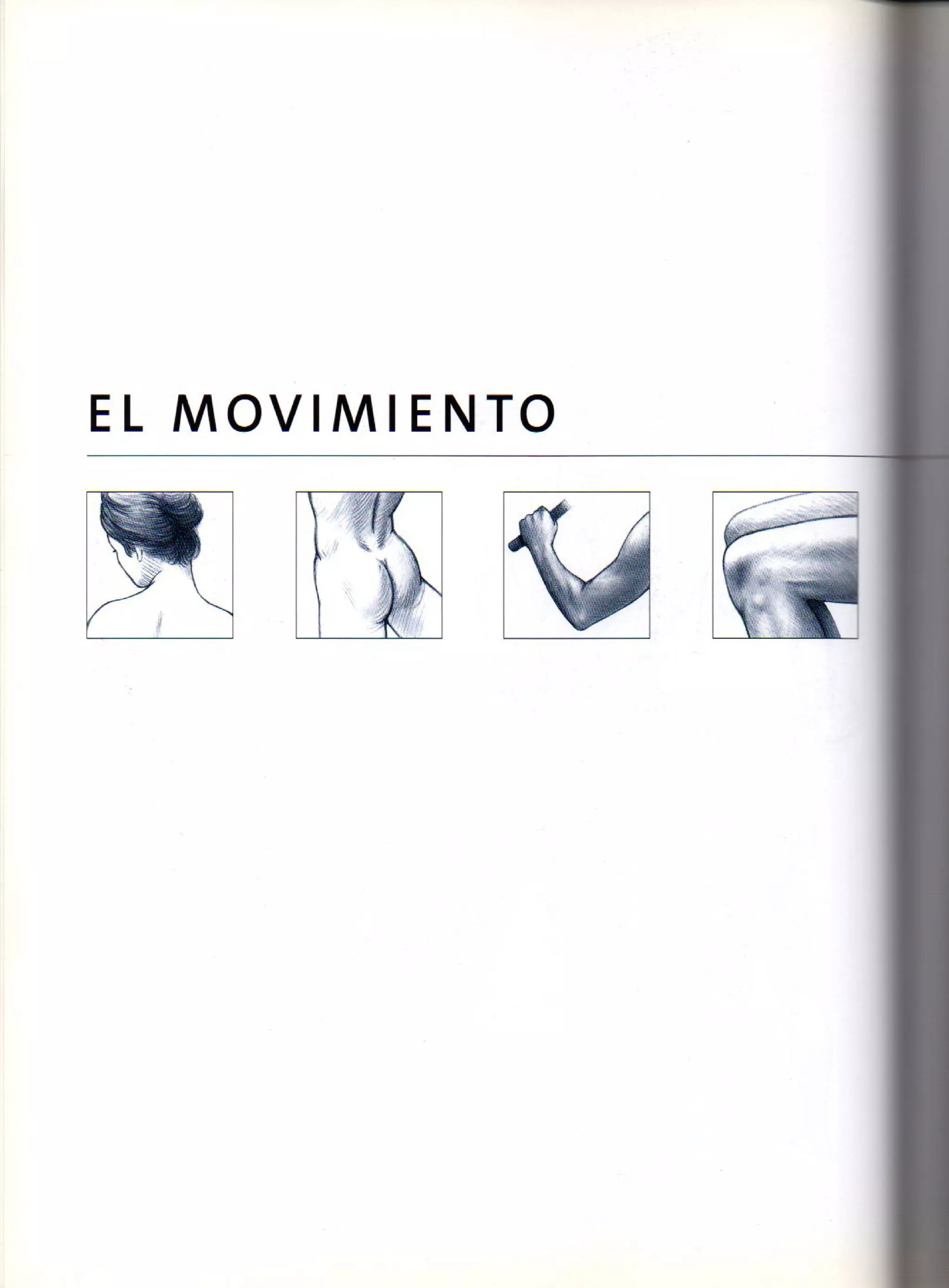 (Daniel carter) anatomia para el artista