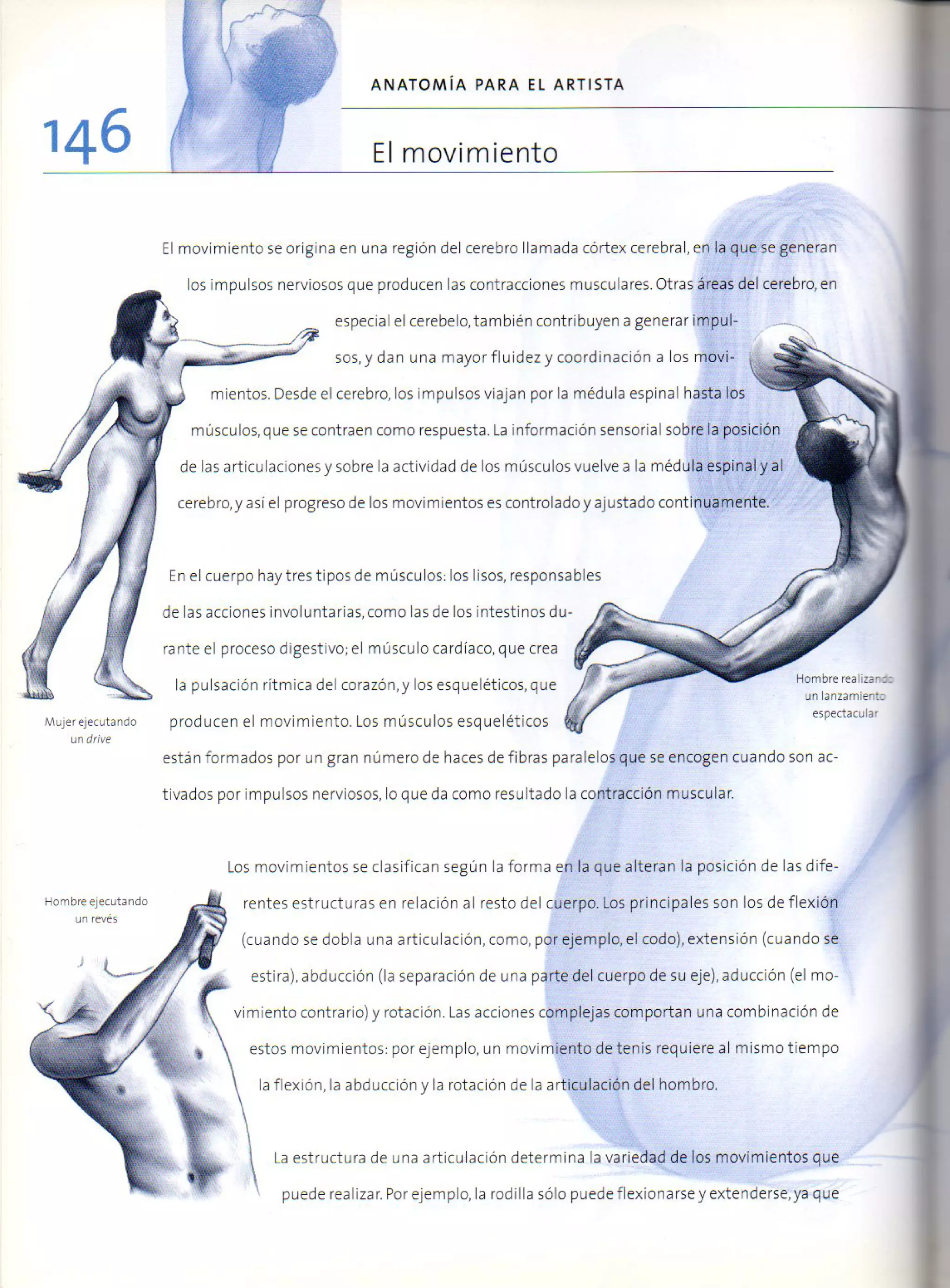 (Daniel carter) anatomia para el artista