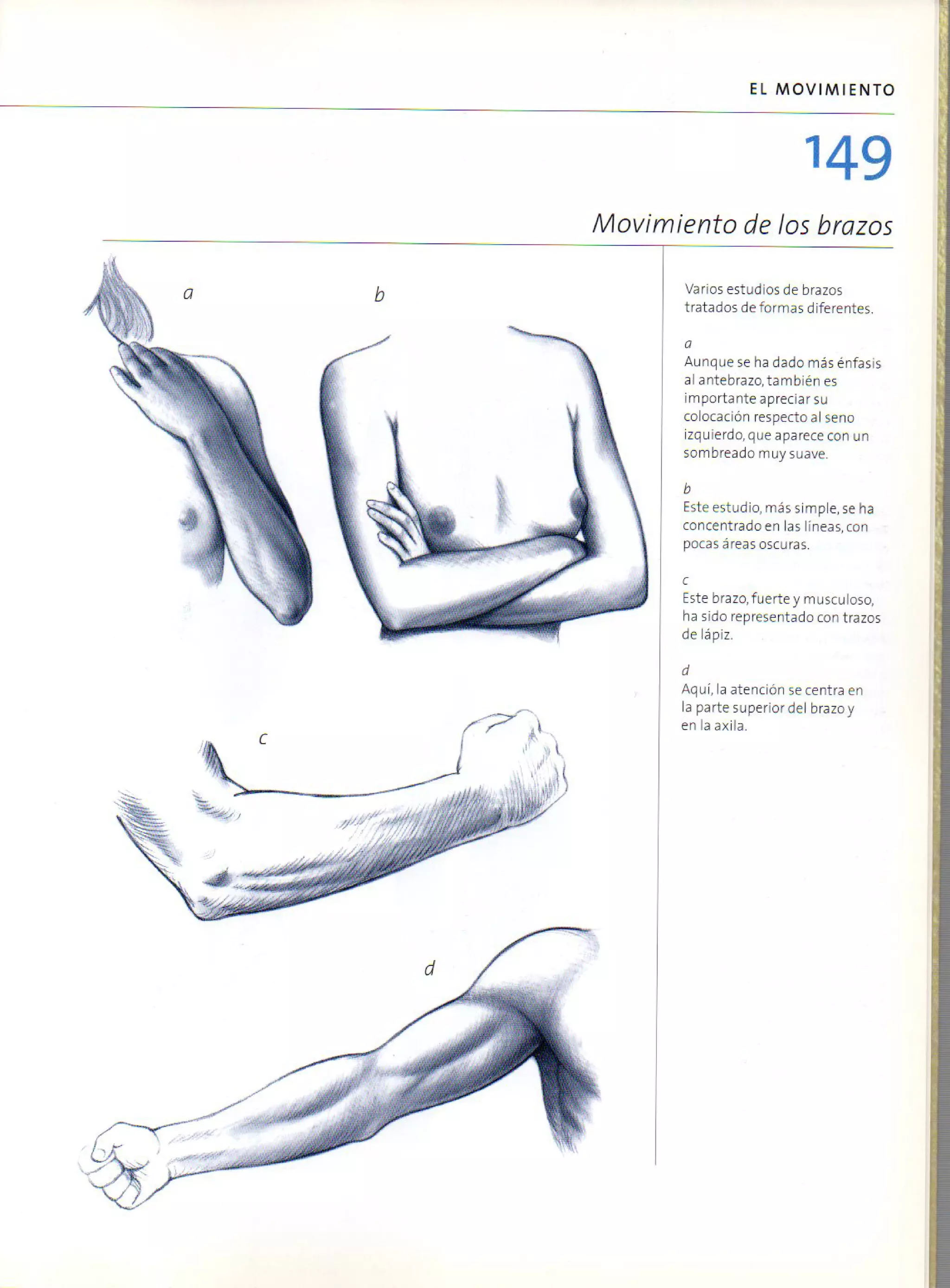(Daniel carter) anatomia para el artista