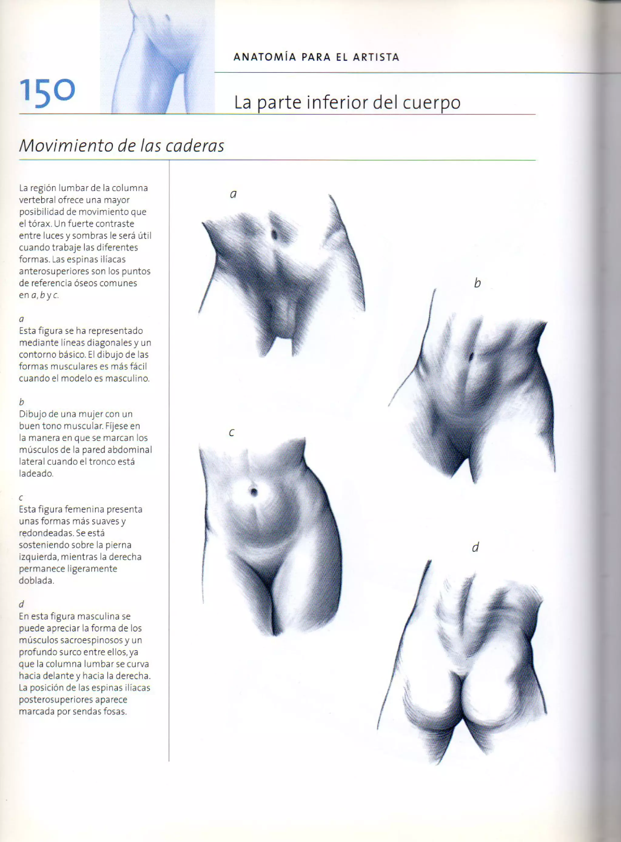 (Daniel carter) anatomia para el artista