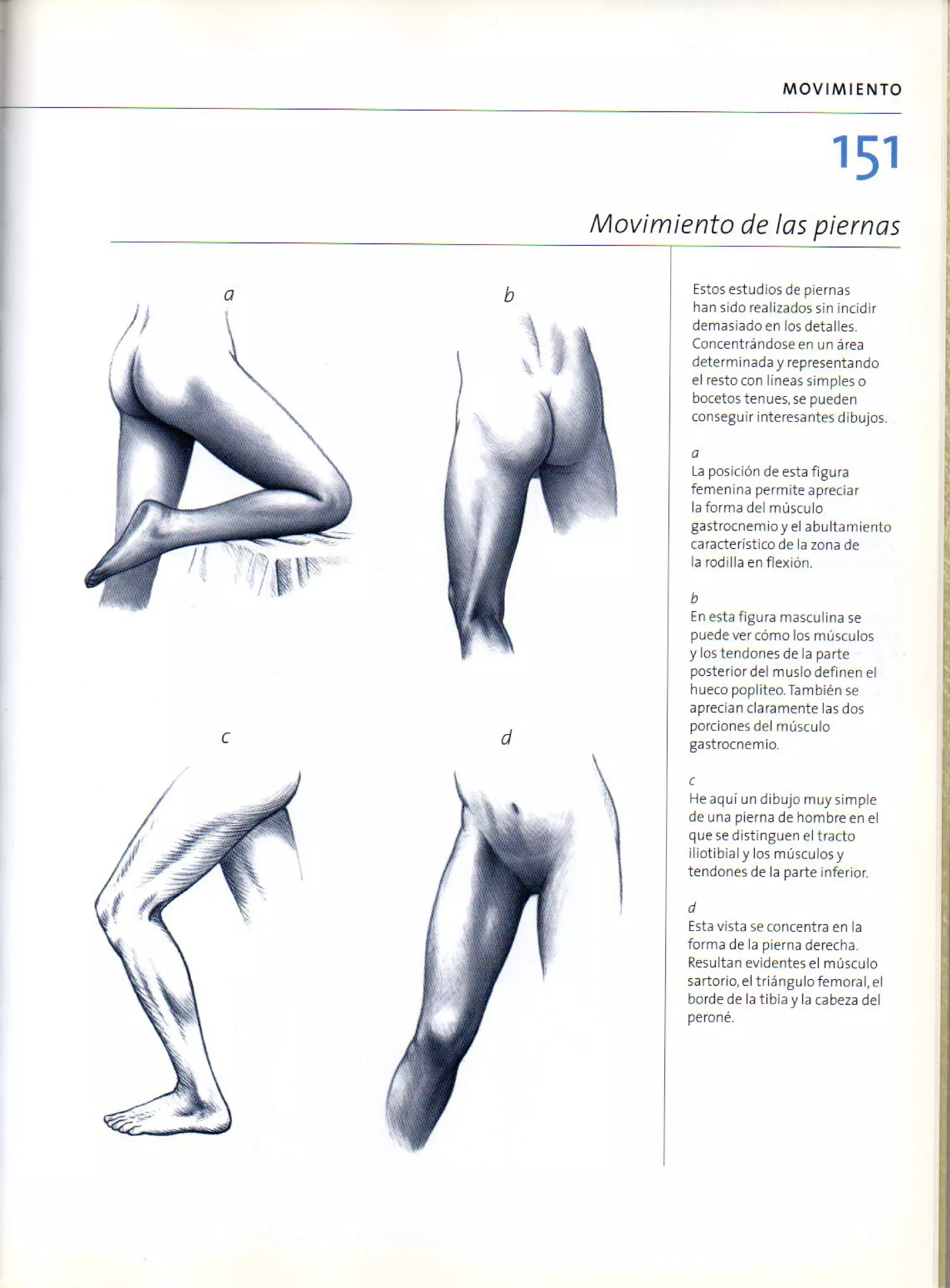 (Daniel carter) anatomia para el artista