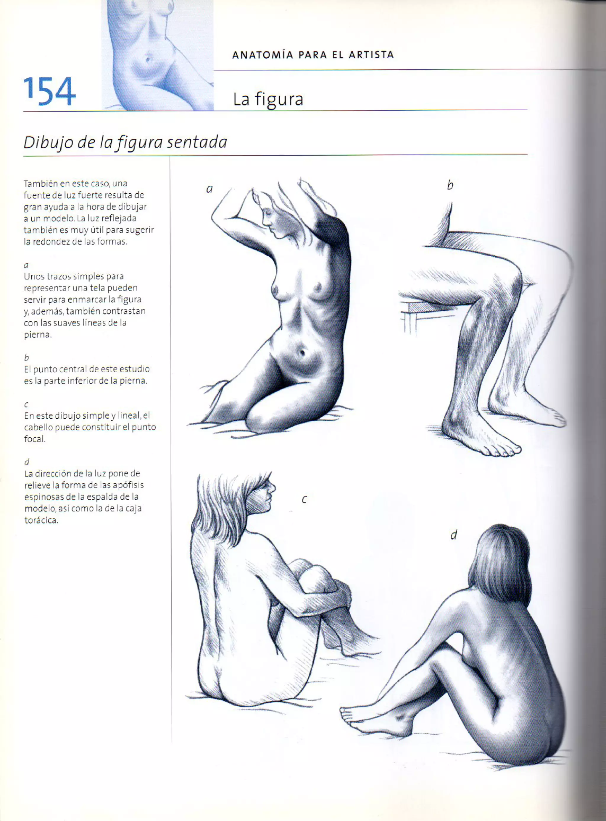 (Daniel carter) anatomia para el artista