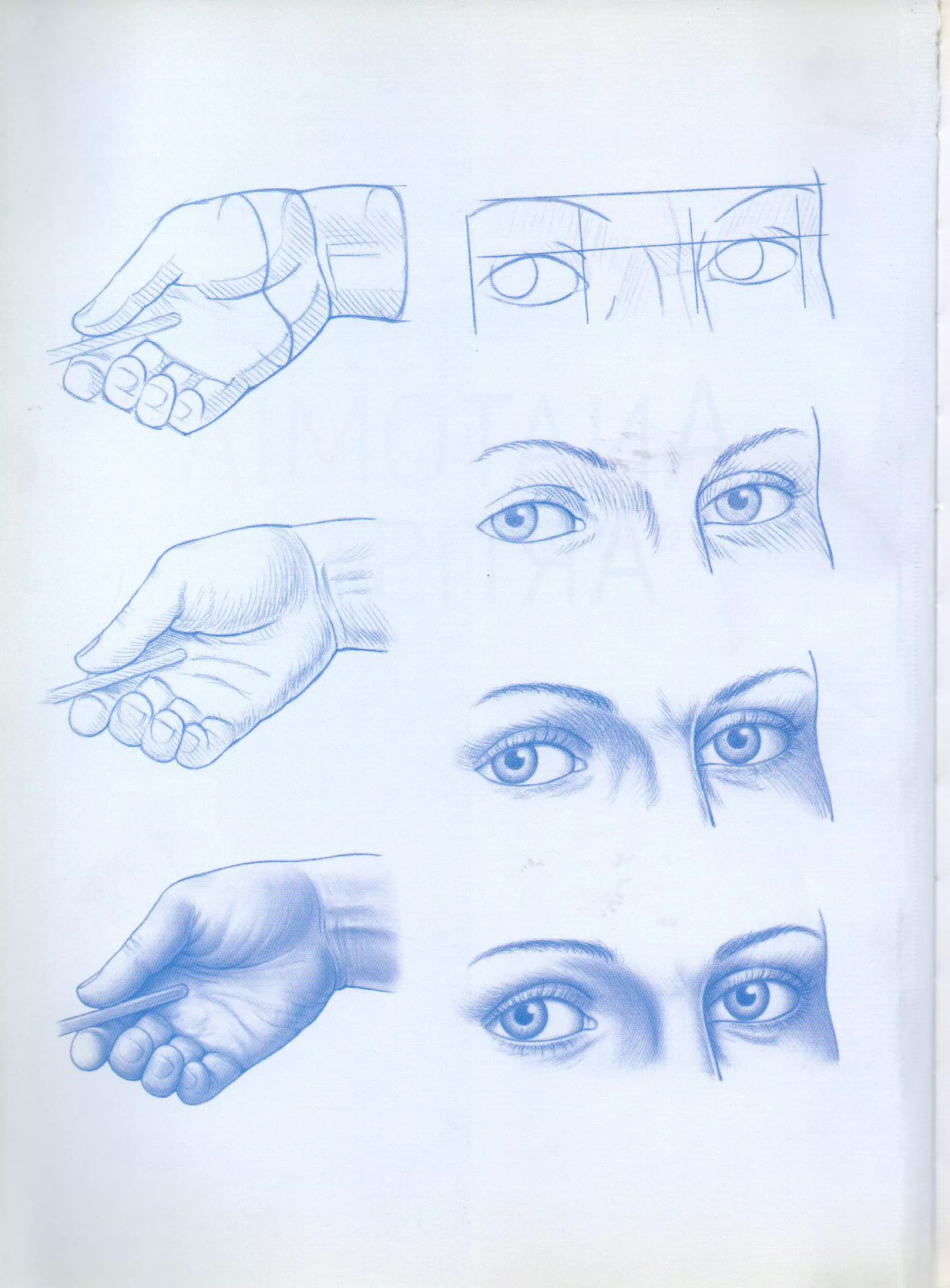 (Daniel carter) anatomia para el artista