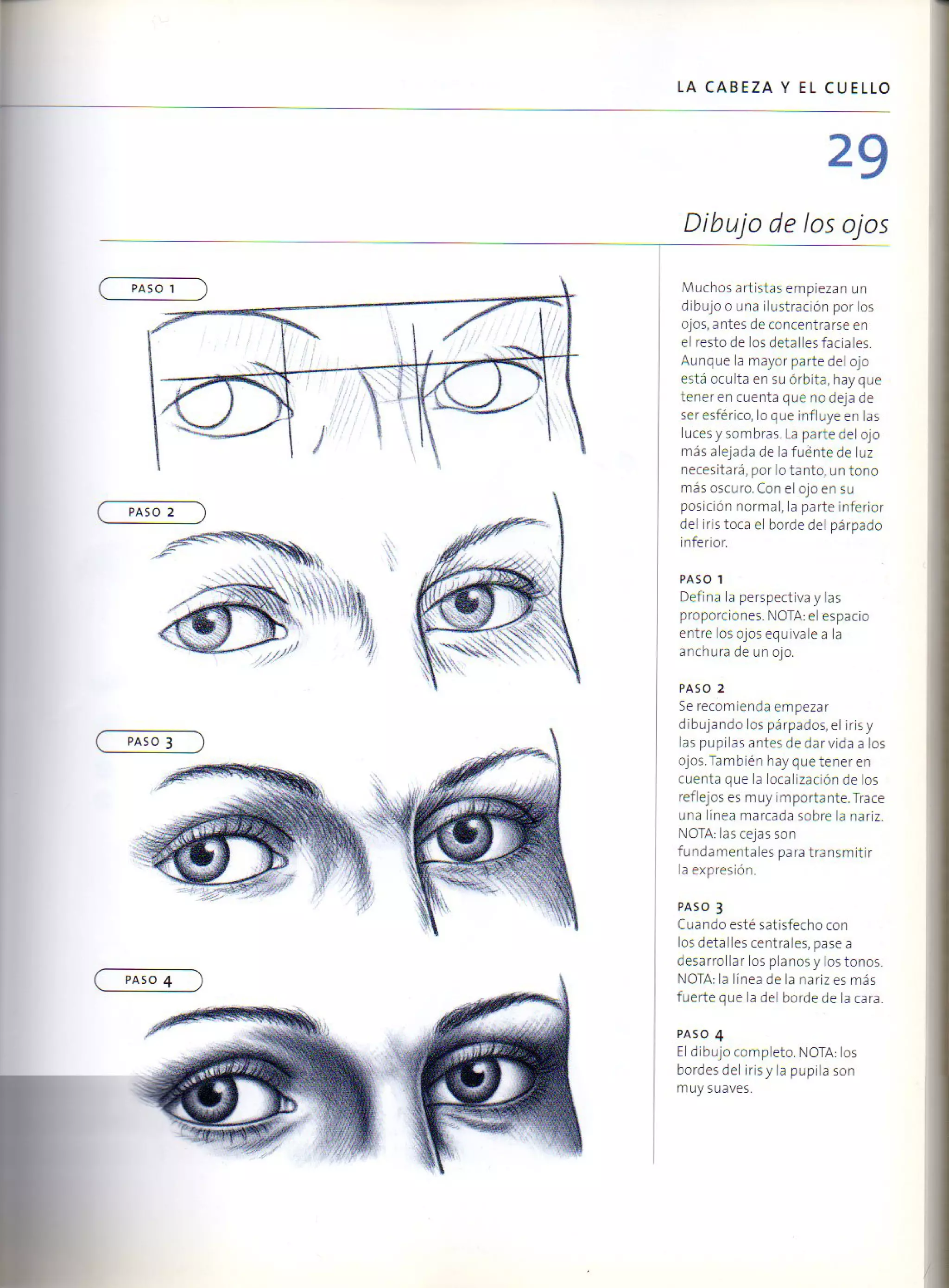 (Daniel carter) anatomia para el artista