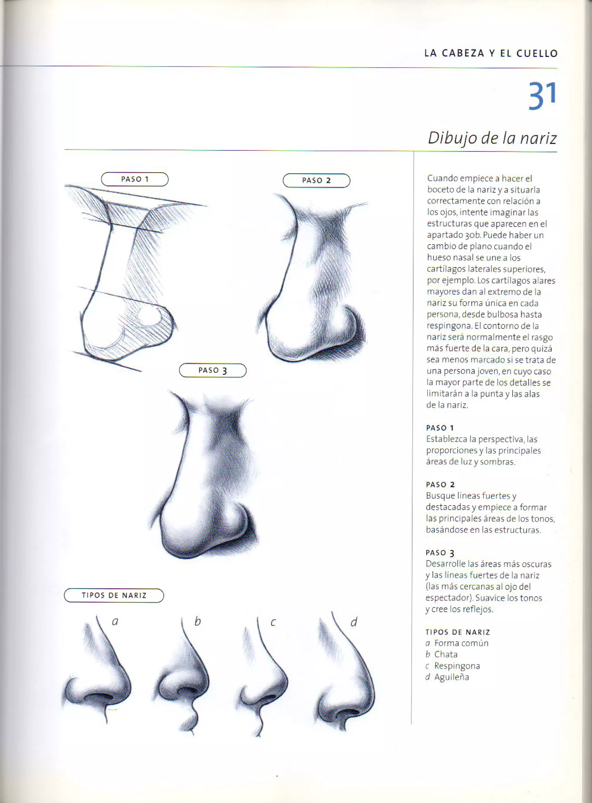 (Daniel carter) anatomia para el artista