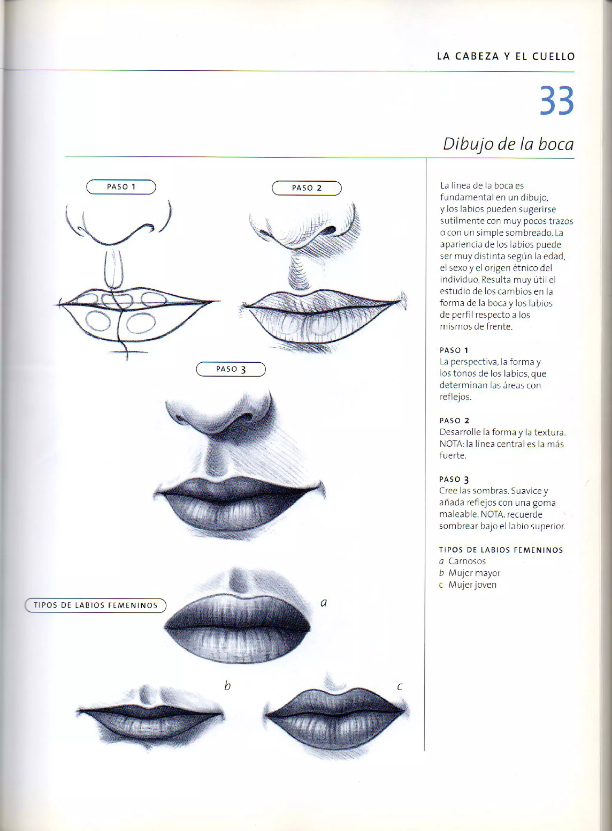 (Daniel carter) anatomia para el artista