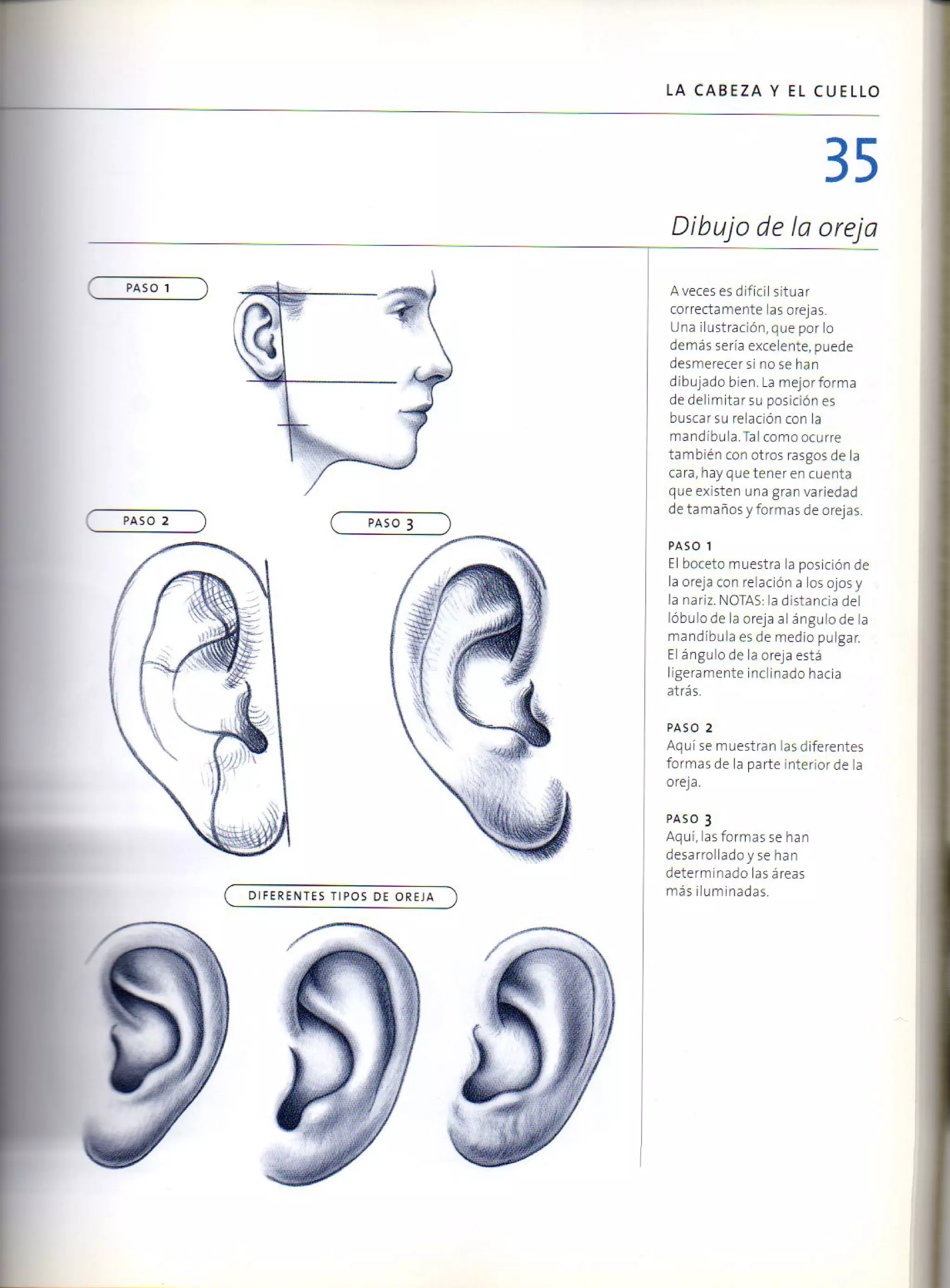 (Daniel carter) anatomia para el artista