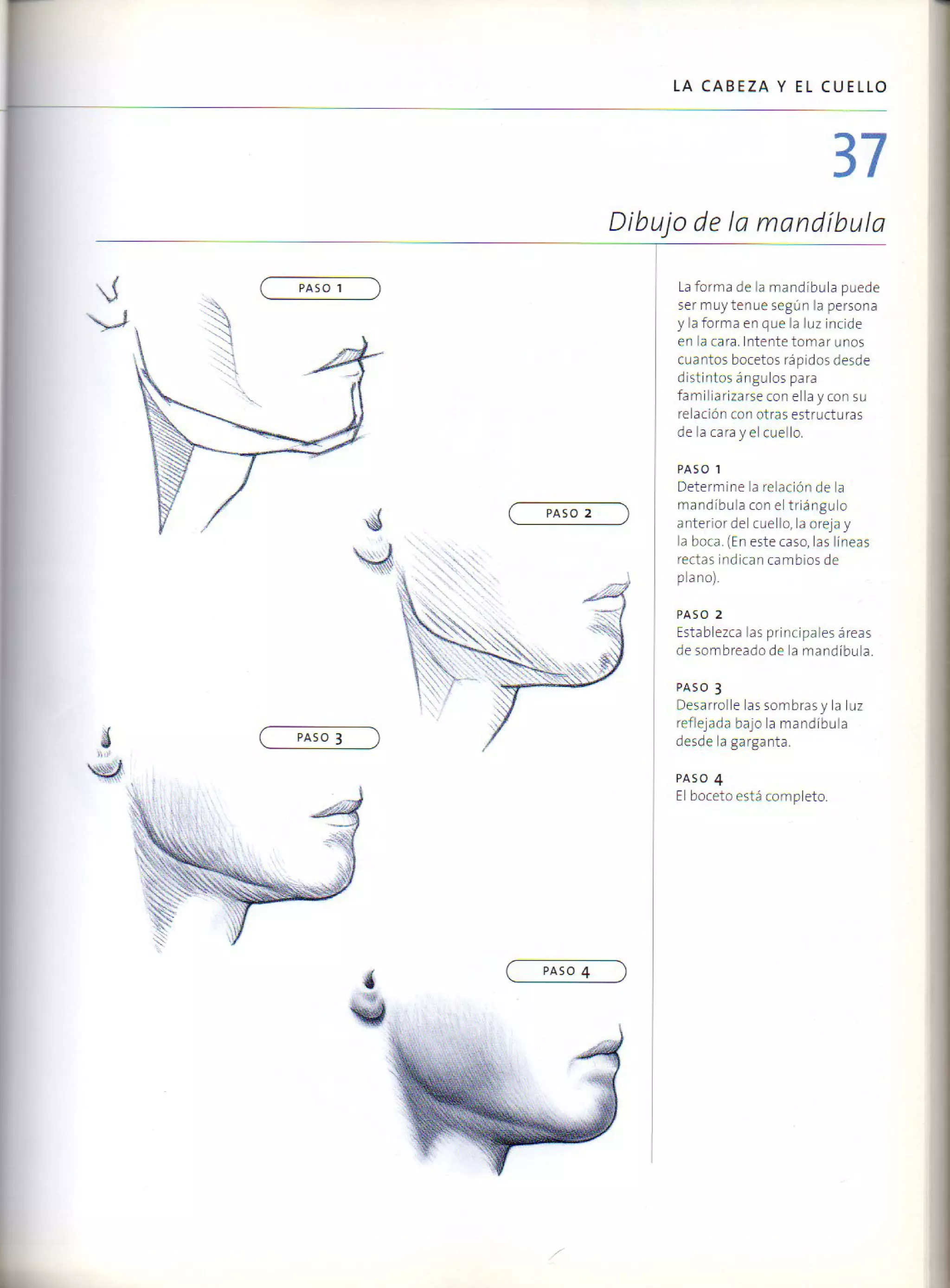 (Daniel carter) anatomia para el artista