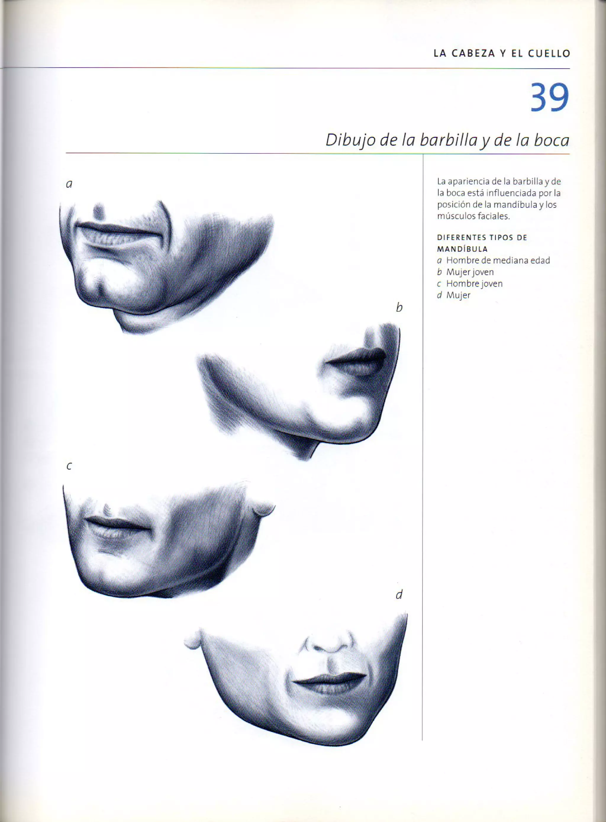 (Daniel carter) anatomia para el artista