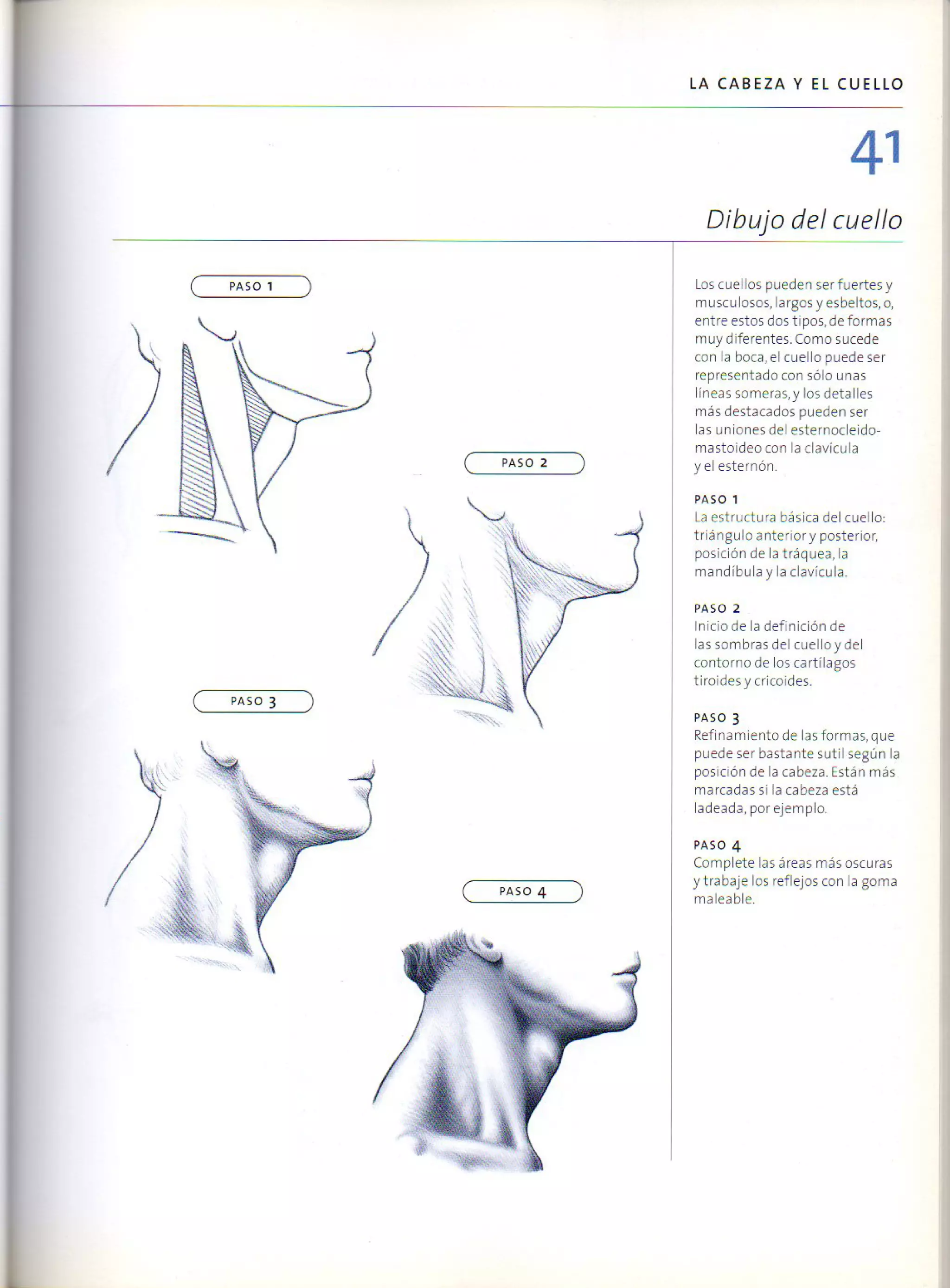 (Daniel carter) anatomia para el artista