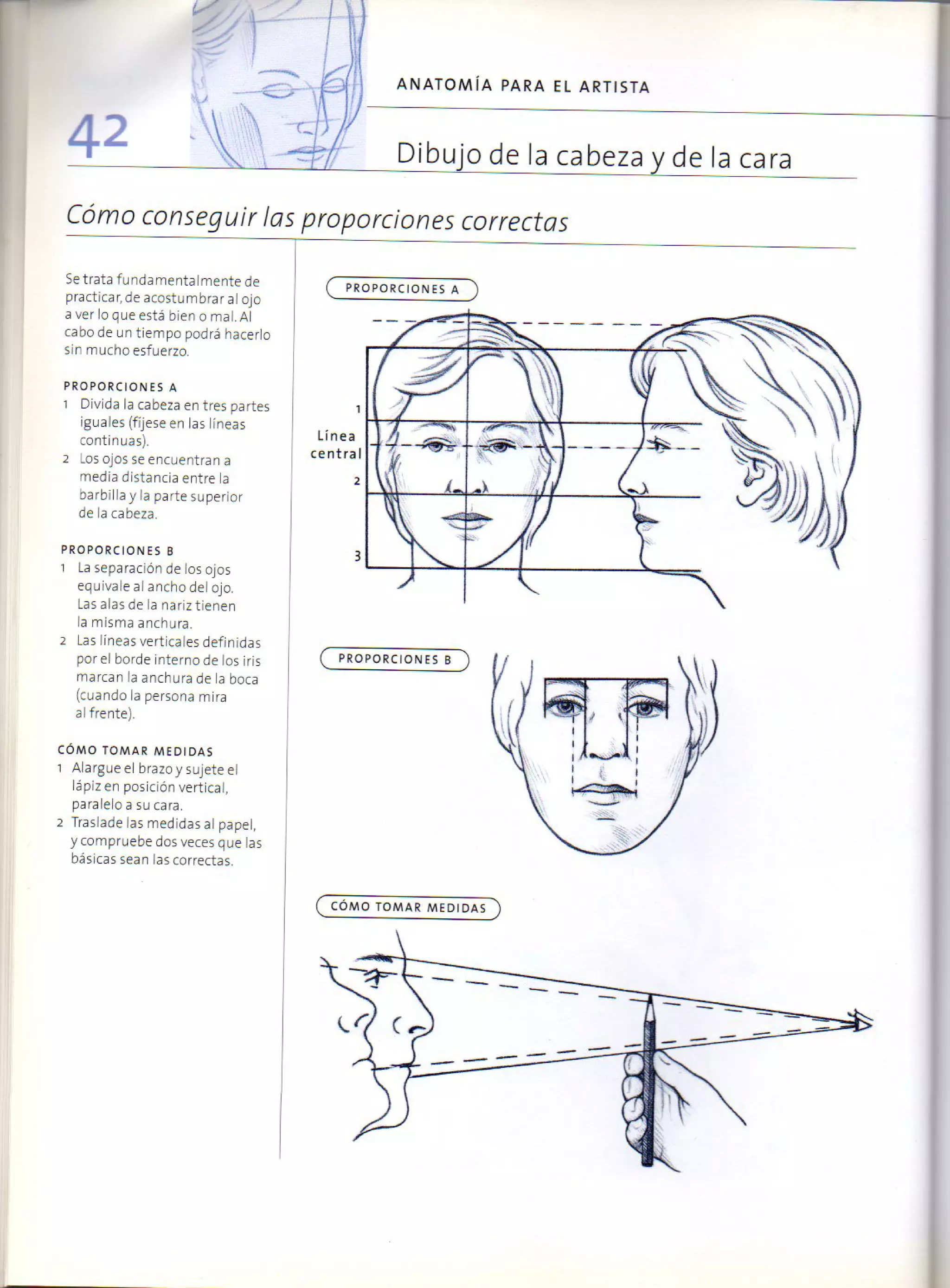 (Daniel carter) anatomia para el artista