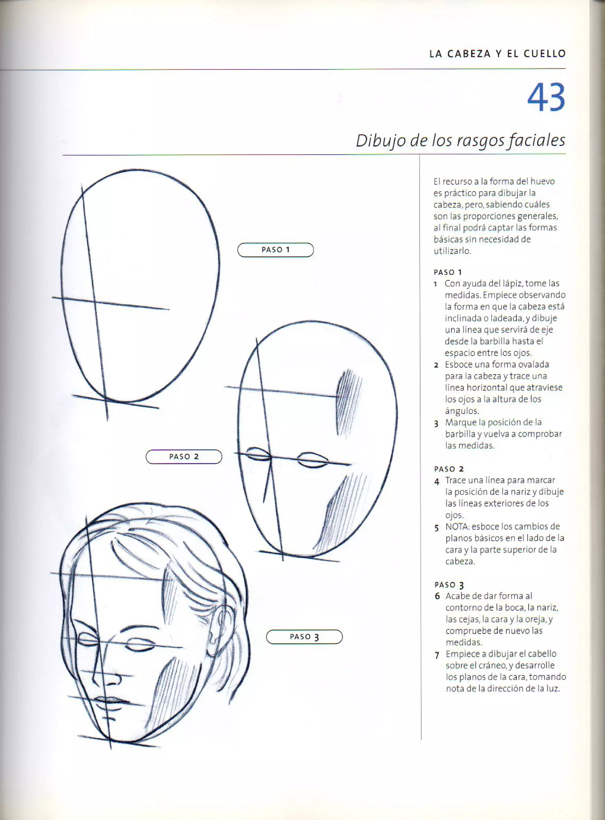 (Daniel carter) anatomia para el artista