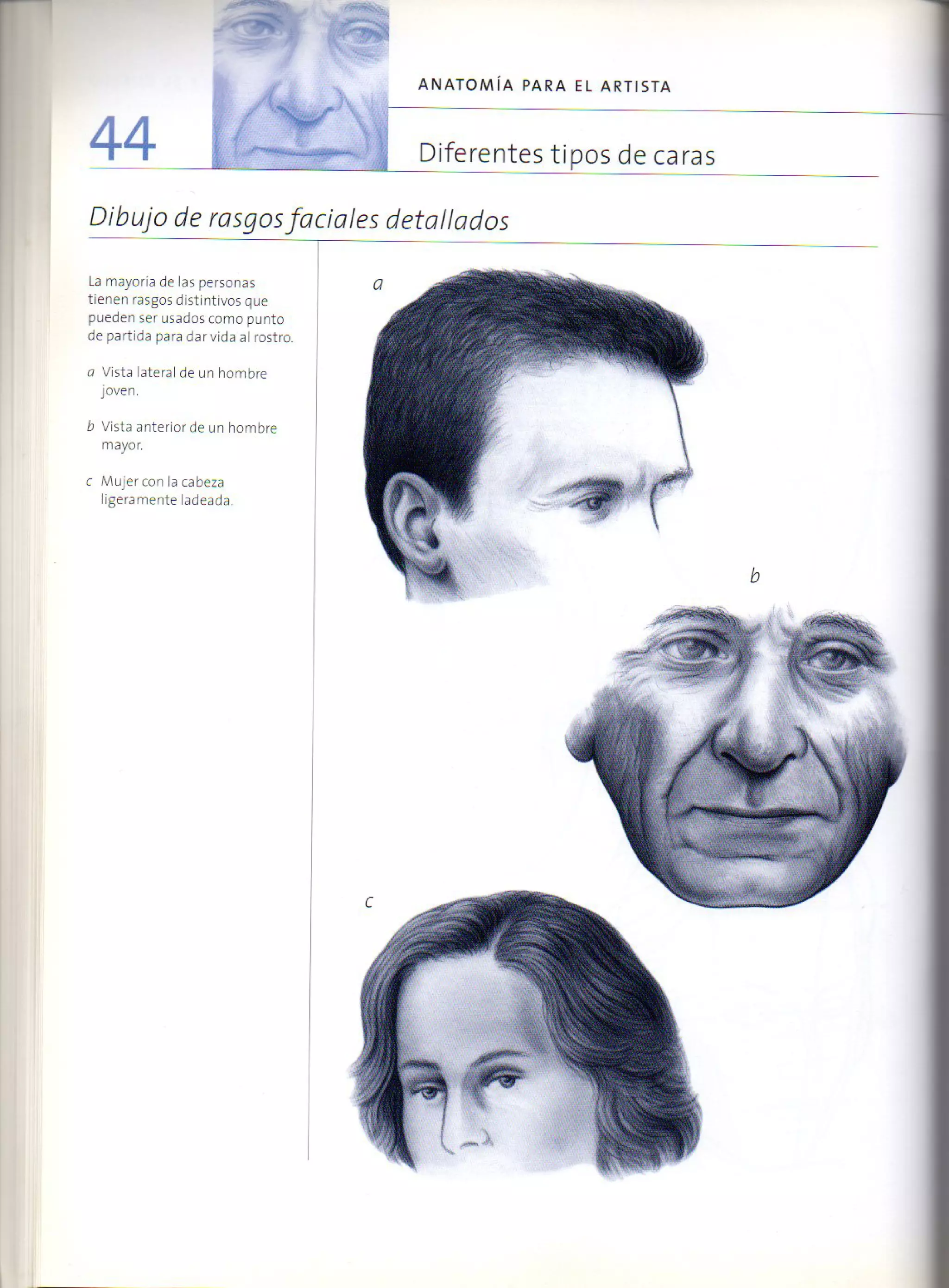 (Daniel carter) anatomia para el artista