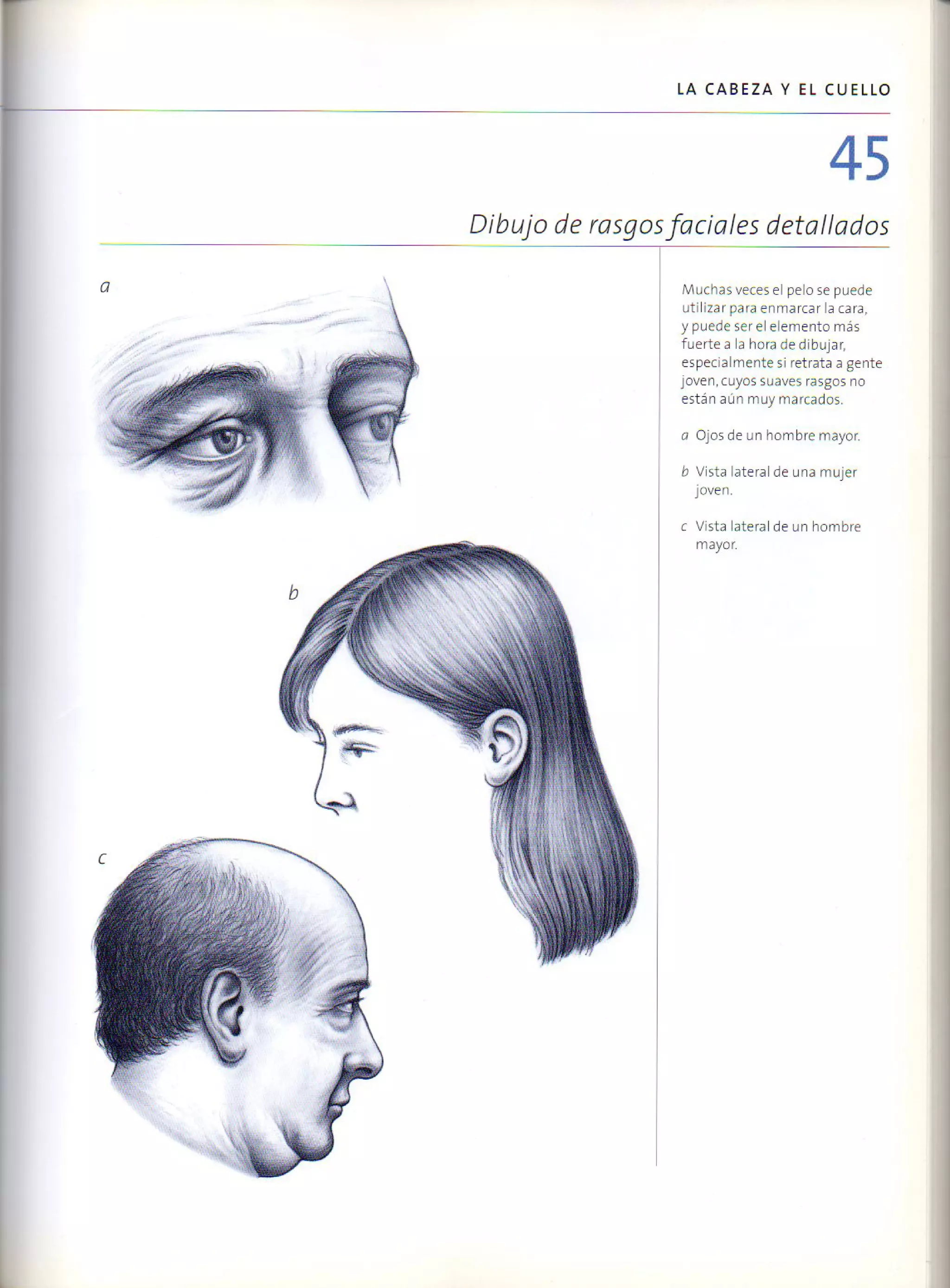 (Daniel carter) anatomia para el artista