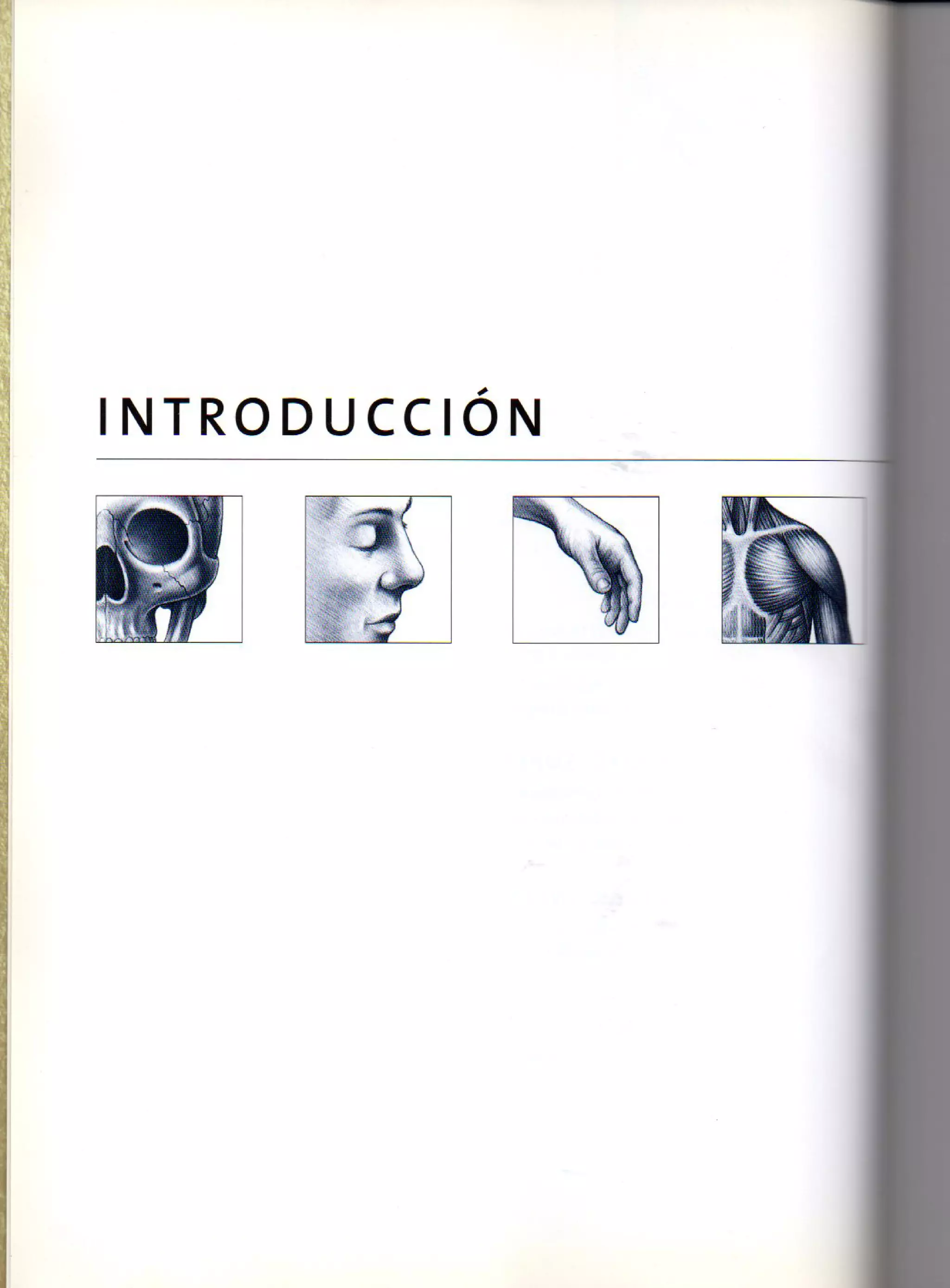 (Daniel carter) anatomia para el artista