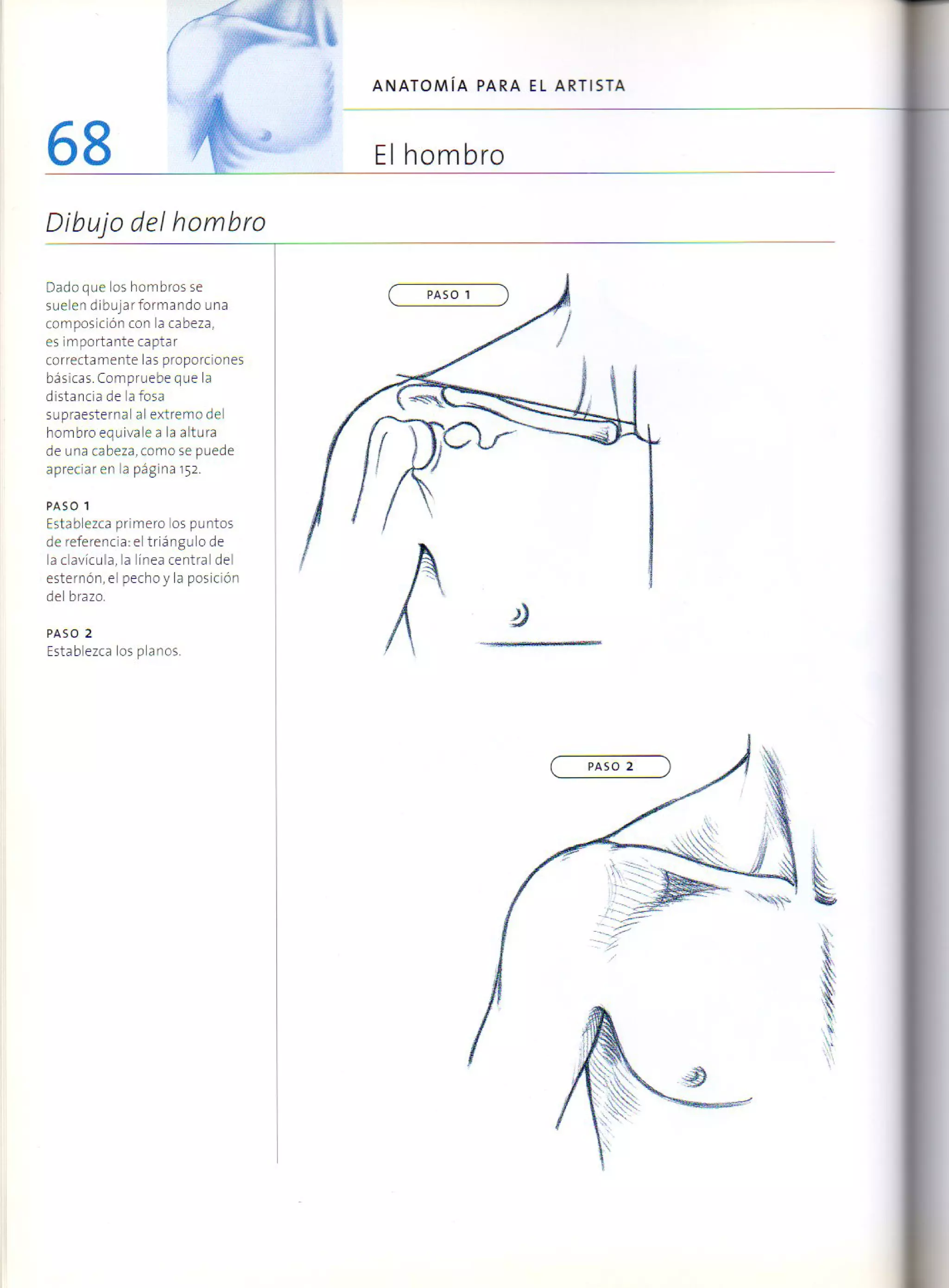 (Daniel carter) anatomia para el artista