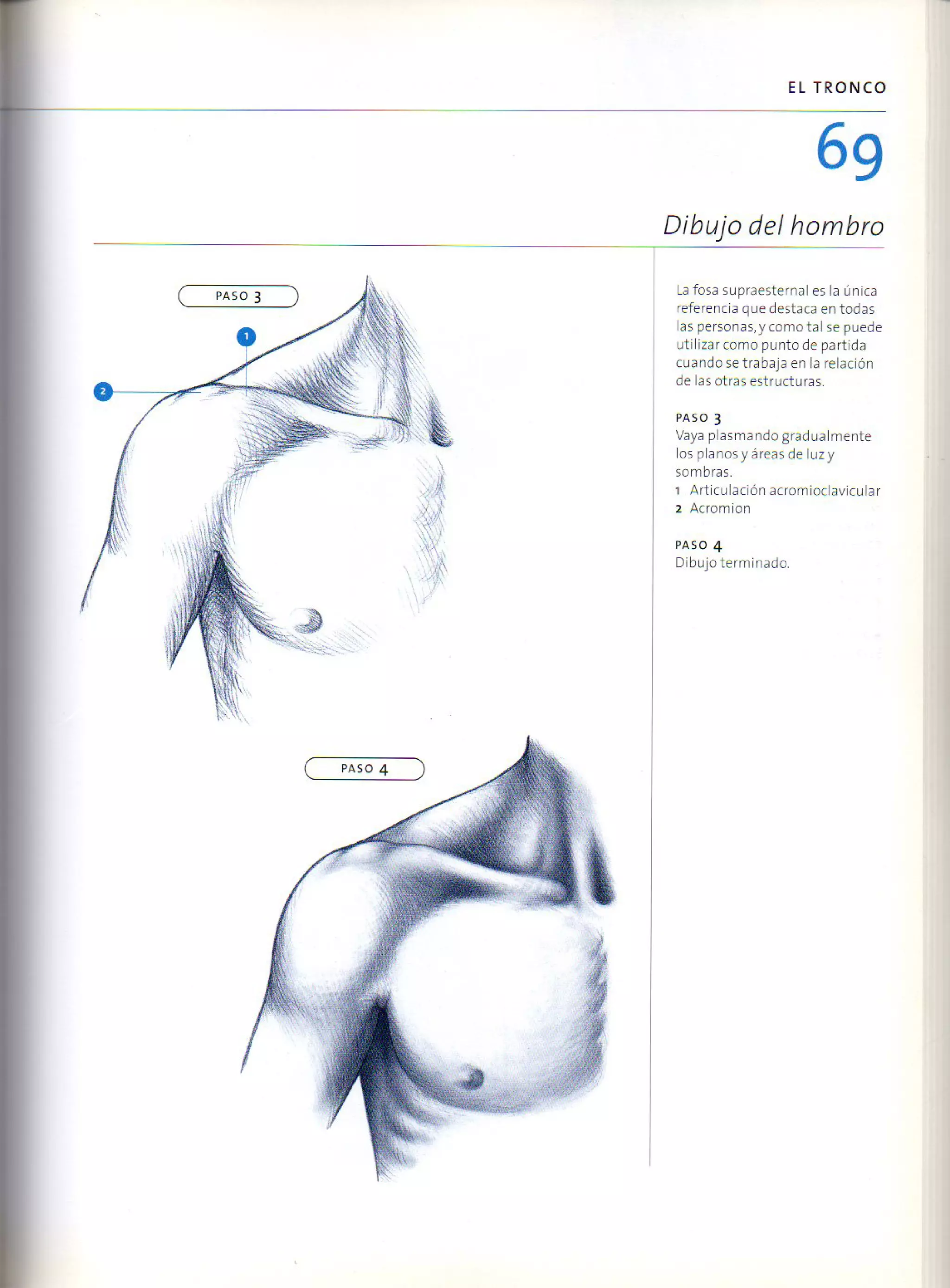 (Daniel carter) anatomia para el artista