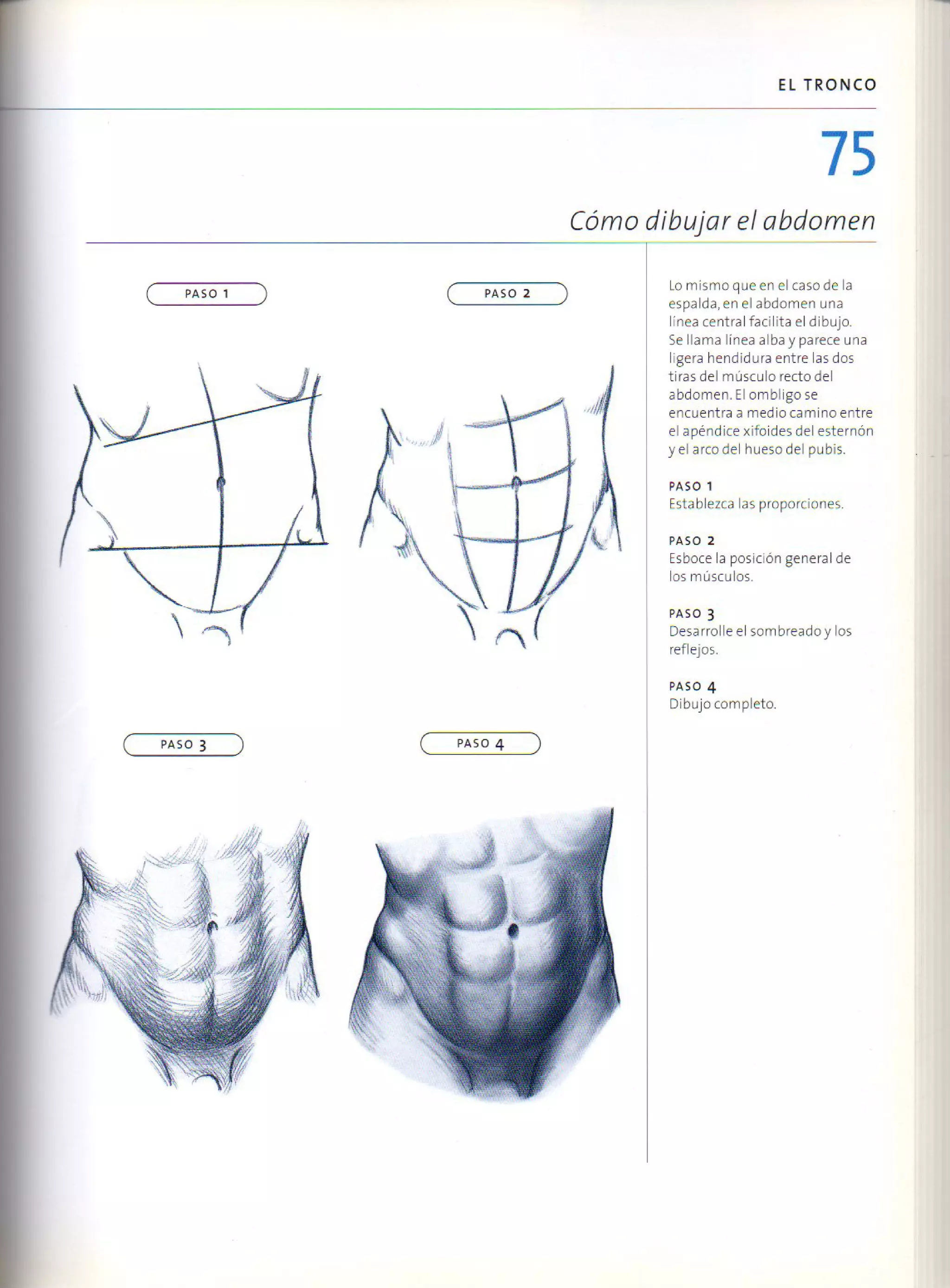 (Daniel carter) anatomia para el artista