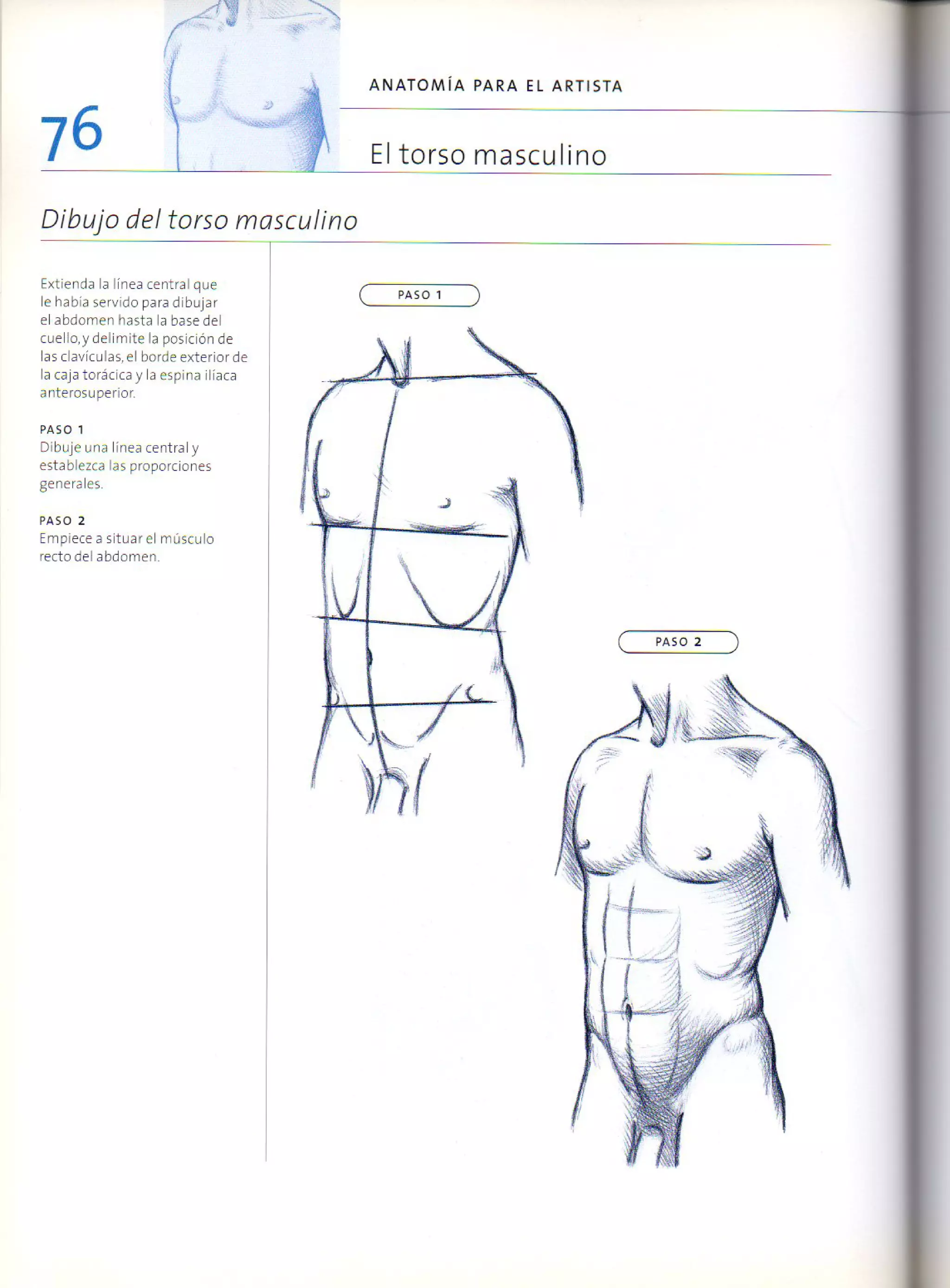 (Daniel carter) anatomia para el artista