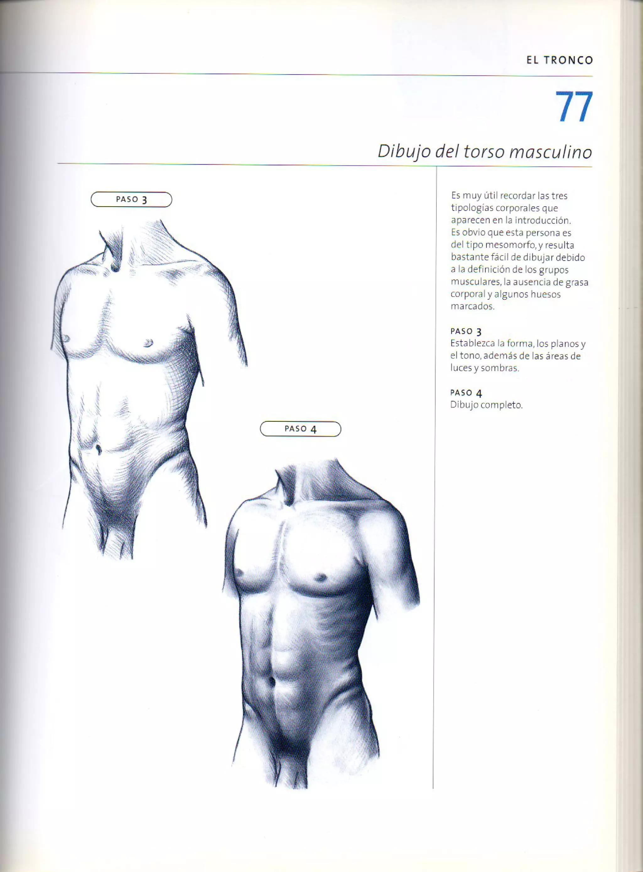 (Daniel carter) anatomia para el artista