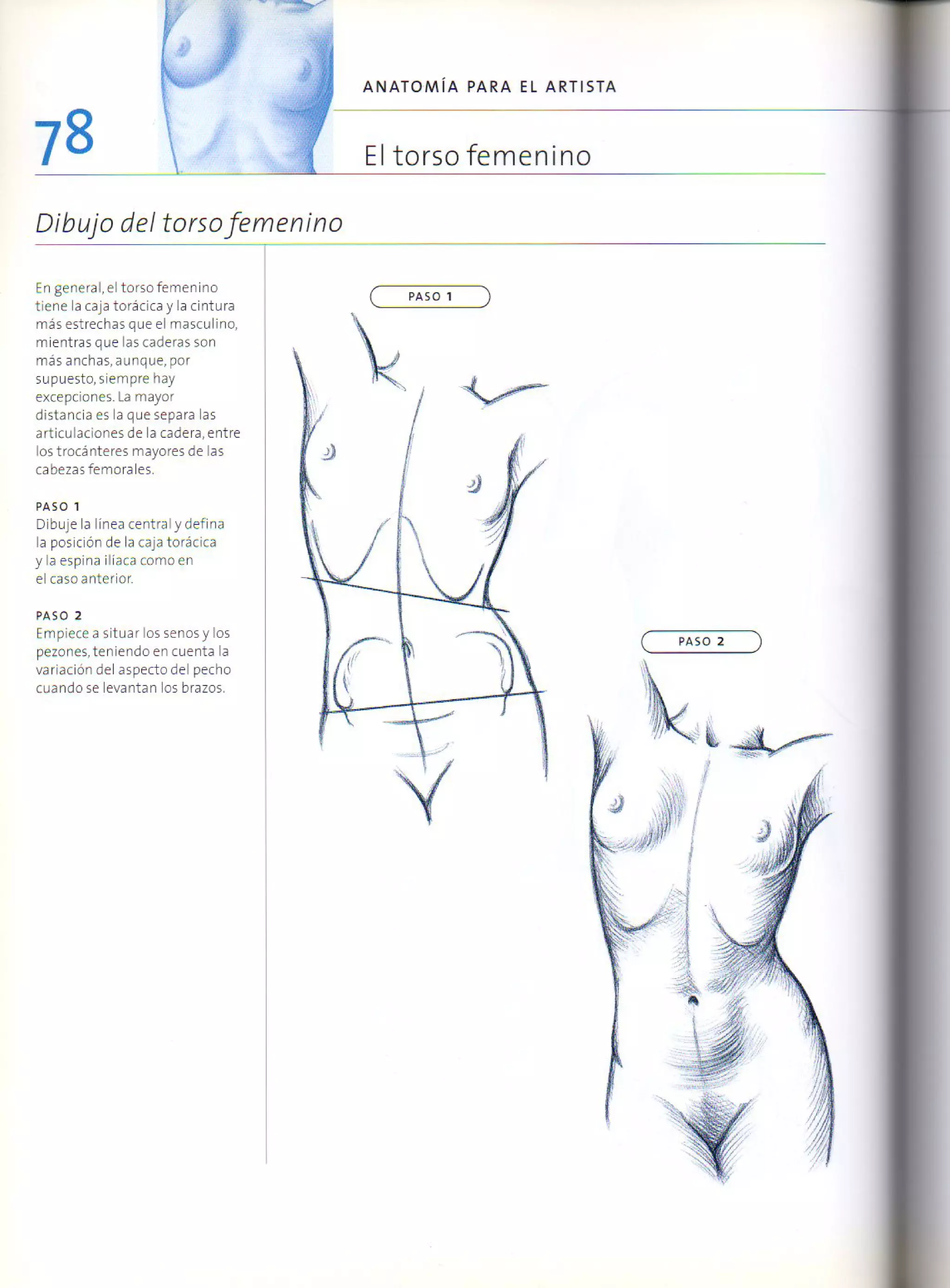 (Daniel carter) anatomia para el artista