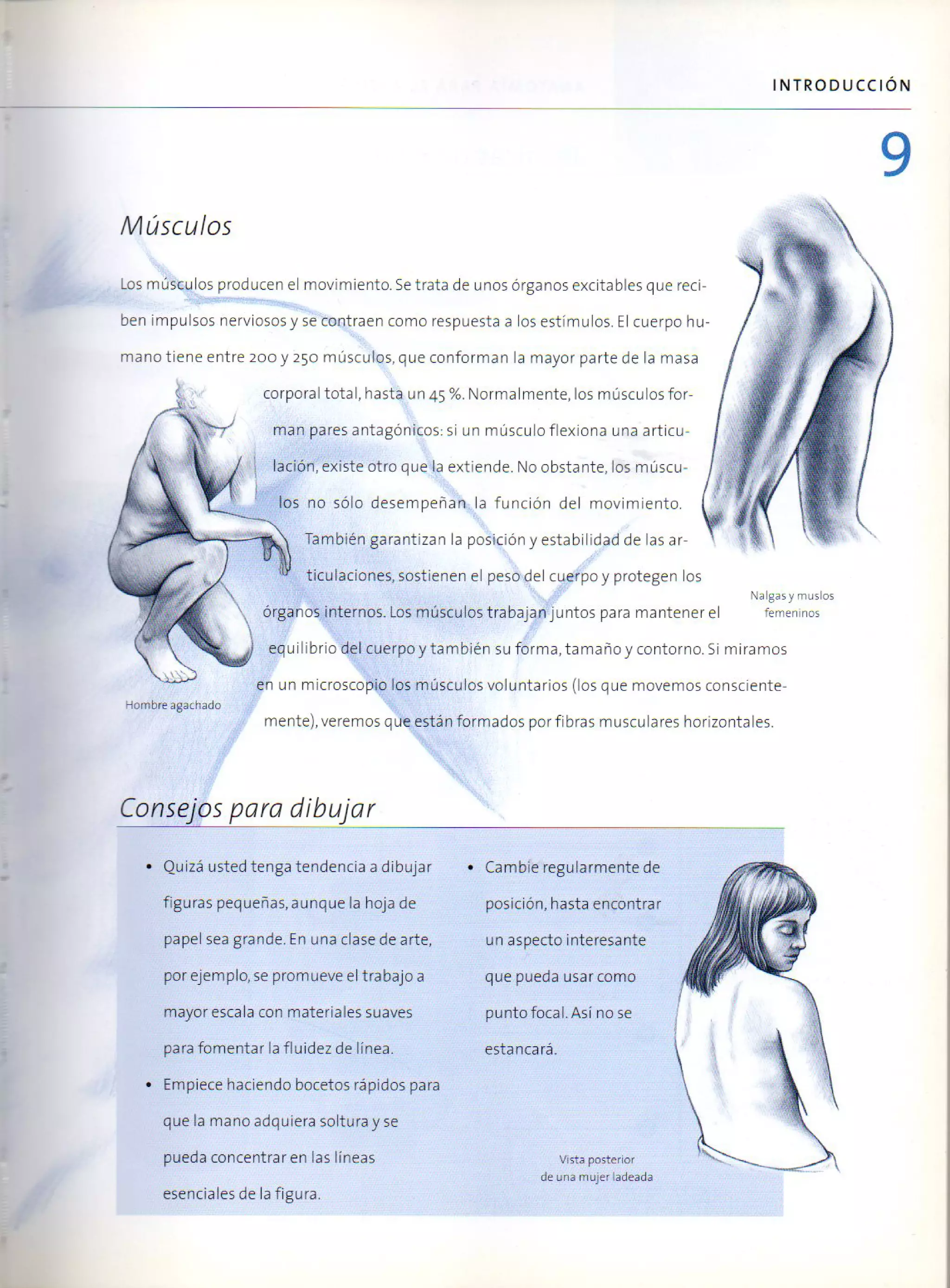 (Daniel carter) anatomia para el artista