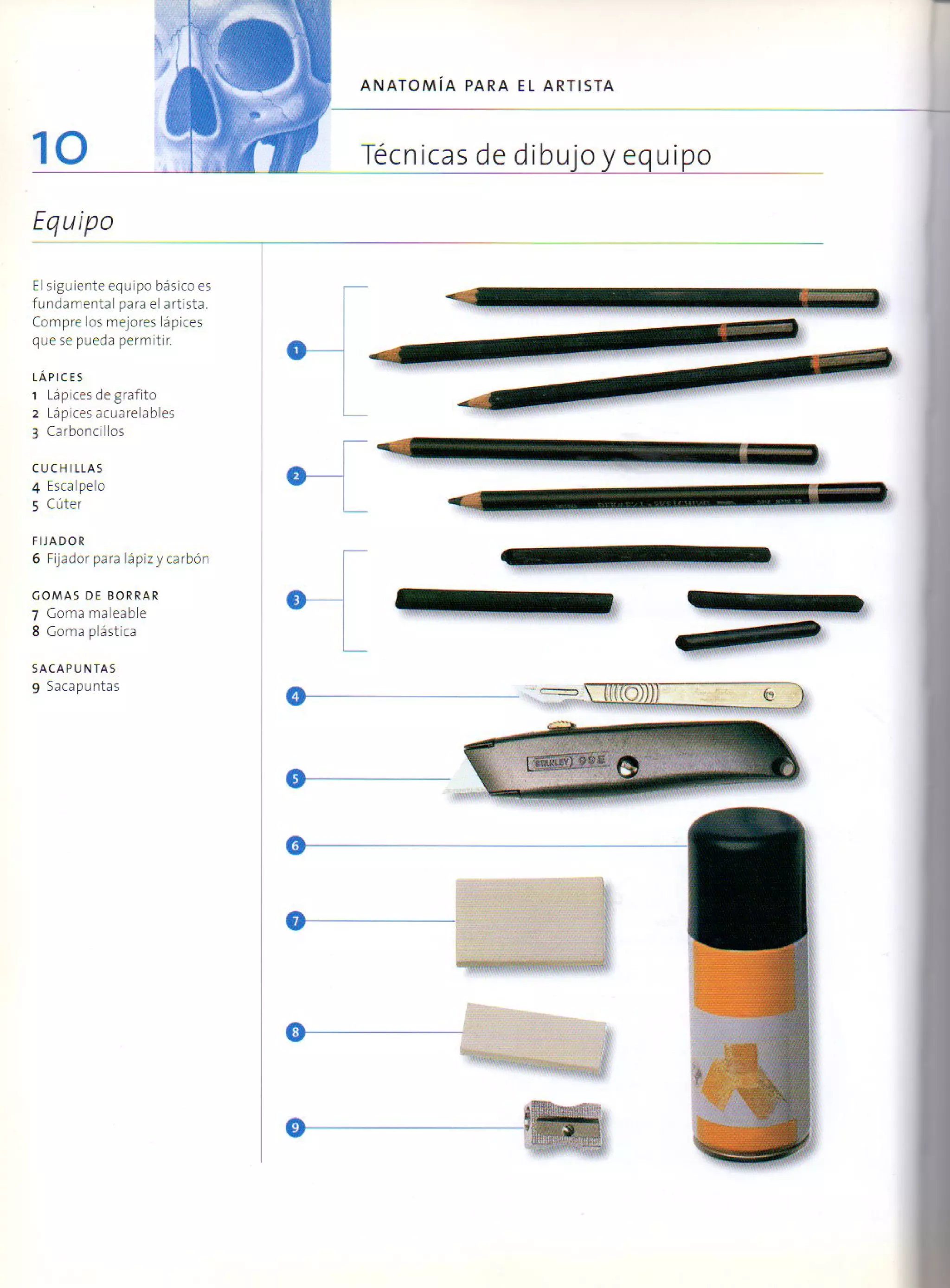 (Daniel carter) anatomia para el artista