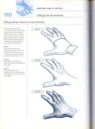 (Daniel carter) anatomia para el artista Slide 109