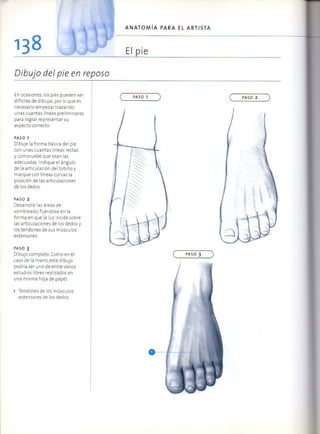 (Daniel carter) anatomia para el artista Slide 137
