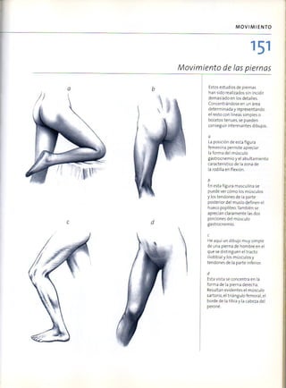 (Daniel carter) anatomia para el artista Slide 150