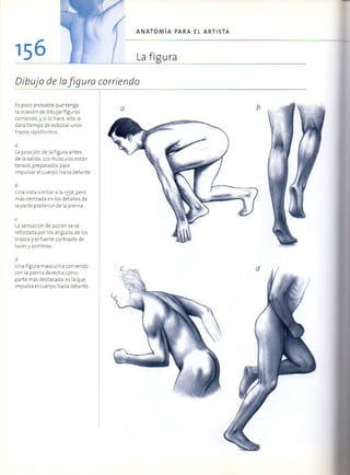 (Daniel carter) anatomia para el artista Slide 155
