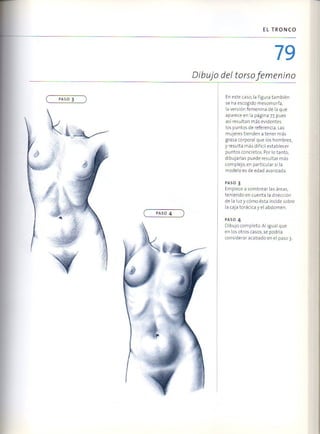 (Daniel carter) anatomia para el artista Slide 78