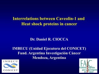 Interrelations between Caveolin-1 and
     Heat shock proteins in cancer


         Dr. Daniel R. CIOCCA

IMBECU (Unidad Ejecutora del CONICET)
  Fund. Argentina Investigación Cáncer
          Mendoza, Argentina
 
