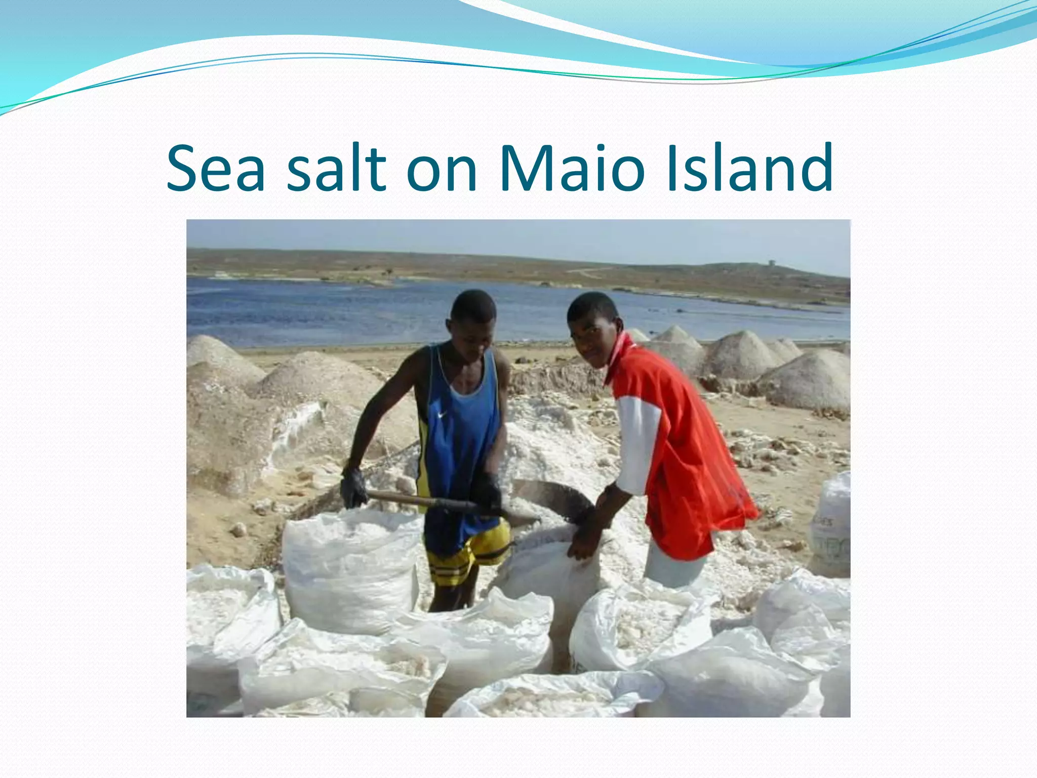Sea salt on Maio Island
 
