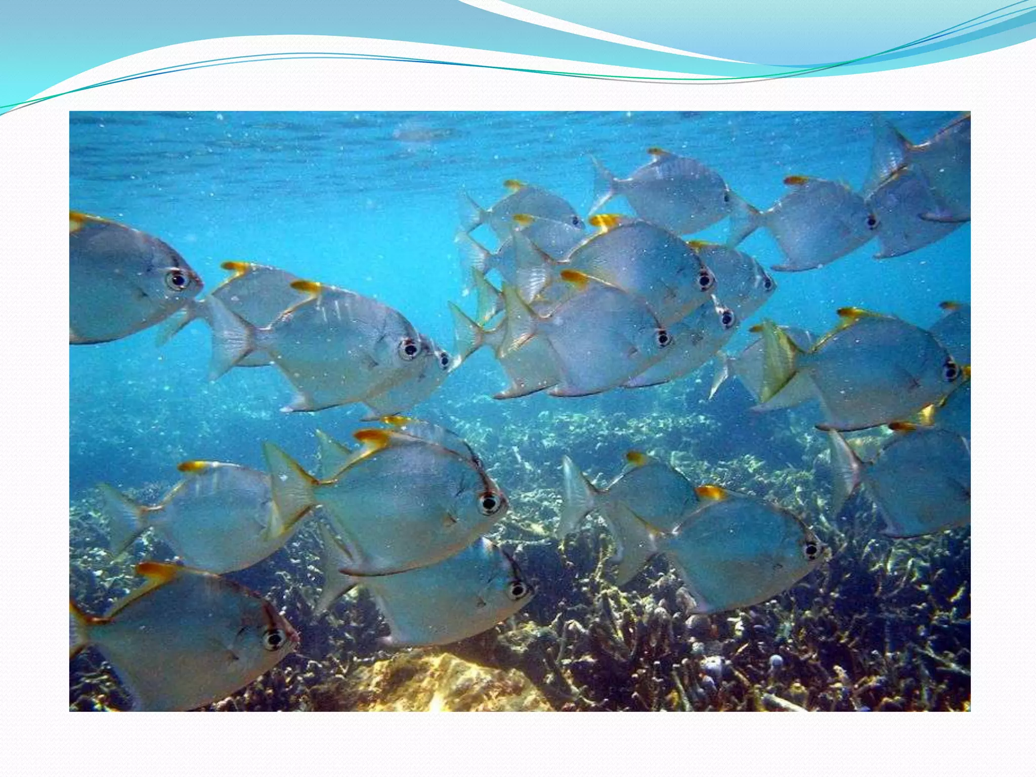 Daniel clarkslidecastunclos