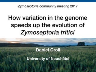 How variation in the genome
speeds up the evolution of
Zymoseptoria tritici
Daniel Croll
University of Neuchâtel
Zymoseptoria community meeting 2017
 