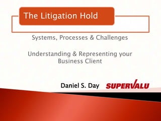 Systems, Processes & Challenges Understanding & Representing your Business Client Daniel S. Day  