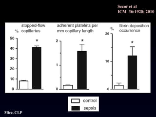 The Microcirculation in Sepsis | PPTX