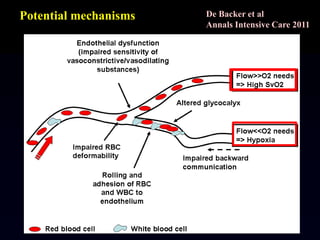 The Microcirculation in Sepsis