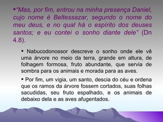 “ Mas, por fim, entrou na minha presença Daniel, cujo nome é Beltessazar, segundo o nome do meu deus, e no qual há o espírito dos deuses santos; e eu contei o sonho diante dele”  (Dn 4.8). Nabucodonossor descreve o sonho onde ele vê uma árvore no meio da terra, grande em altura, de folhagem formosa, fruto abundante, que servia de sombra para os animais e morada para as aves. Por fim, um vigia, um santo, descia do céu e ordena que os ramos da árvore fossem cortados, suas folhas sacudidas, seu fruto espalhado, e os animais de debaixo dela e as aves afugentados. 