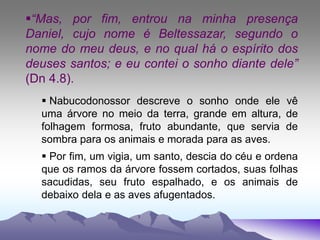 “Mas, por fim, entrou na minha presença
Daniel, cujo nome é Beltessazar, segundo o
nome do meu deus, e no qual há o espírito dos
deuses santos; e eu contei o sonho diante dele”
(Dn 4.8).
 Nabucodonossor descreve o sonho onde ele vê
uma árvore no meio da terra, grande em altura, de
folhagem formosa, fruto abundante, que servia de
sombra para os animais e morada para as aves.
 Por fim, um vigia, um santo, descia do céu e ordena
que os ramos da árvore fossem cortados, suas folhas
sacudidas, seu fruto espalhado, e os animais de
debaixo dela e as aves afugentados.
 
