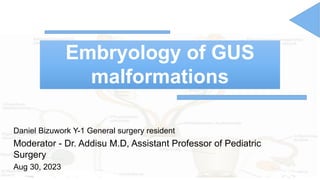 Embryology of GUS
malformations
Daniel Bizuwork Y-1 General surgery resident
Moderator - Dr. Addisu M.D, Assistant Professor of Pediatric
Surgery
Aug 30, 2023
 