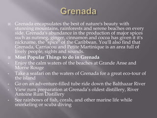 


•
•
•
•
•

Grenada encapsulates the best of nature's beauty with
stunning mountains, rainforests and serene beaches on every
side. Grenada's abundance in the production of major spices
such as nutmeg, ginger, cinnamon and cocoa has given it it's
nickname, the "spice" of the Caribbean. You'll also find that
Grenada, Carriacou and Petite Martinique is an area full of
lively people, sights and sounds.
Most Popular Things to do in Grenada
Enjoy the calm waters of the beaches at Grande Anse and
Morne Rouge
Take a seafari on the waters of Grenada for a great eco-tour of
the island
Go on an adventure-filled tube ride down the Balthazar River
View rum preparation at Grenada’s oldest distillery, River
Antoine Rum Distillery
See rainbows of fish, corals, and other marine life while
snorkeling or scuba diving

 