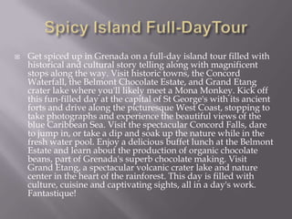 

Get spiced up in Grenada on a full-day island tour filled with
historical and cultural story telling along with magnificent
stops along the way. Visit historic towns, the Concord
Waterfall, the Belmont Chocolate Estate, and Grand Etang
crater lake where you'll likely meet a Mona Monkey. Kick off
this fun-filled day at the capital of St George's with its ancient
forts and drive along the picturesque West Coast, stopping to
take photographs and experience the beautiful views of the
blue Caribbean Sea. Visit the spectacular Concord Falls, dare
to jump in, or take a dip and soak up the nature while in the
fresh water pool. Enjoy a delicious buffet lunch at the Belmont
Estate and learn about the production of organic chocolate
beans, part of Grenada's superb chocolate making. Visit
Grand Etang, a spectacular volcanic crater lake and nature
center in the heart of the rainforest. This day is filled with
culture, cuisine and captivating sights, all in a day's work.
Fantastique!

 