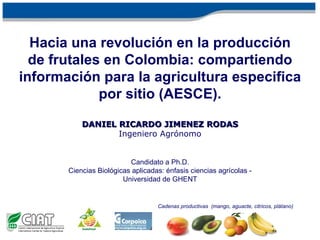 Site-specific agriculture based on farmers experiences (SSAFE) for fruits in Colombia   Secretaries of the Fruit Chains  (mango, avocado   , citrus, plántain) 
